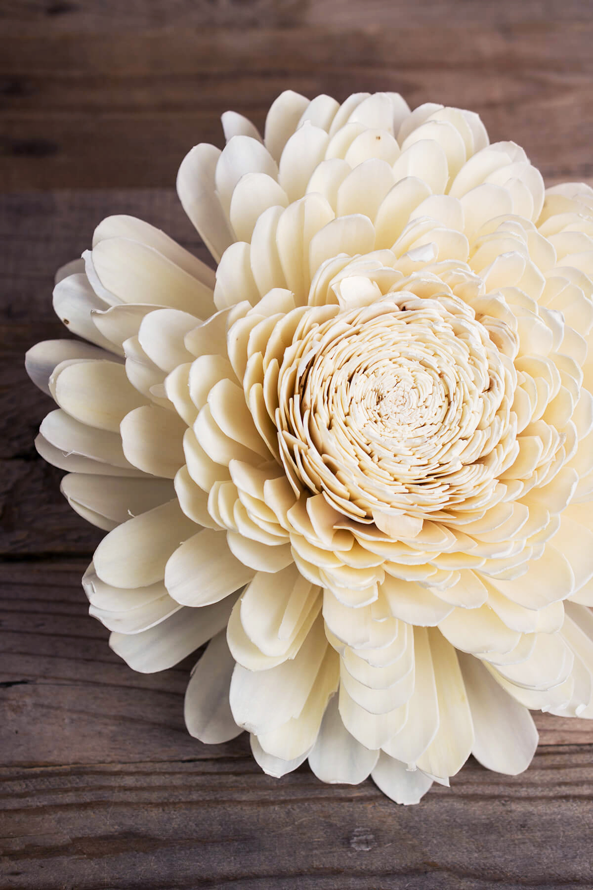Sola Flowers|Beautiful - Handmade|SaveOnCrafts