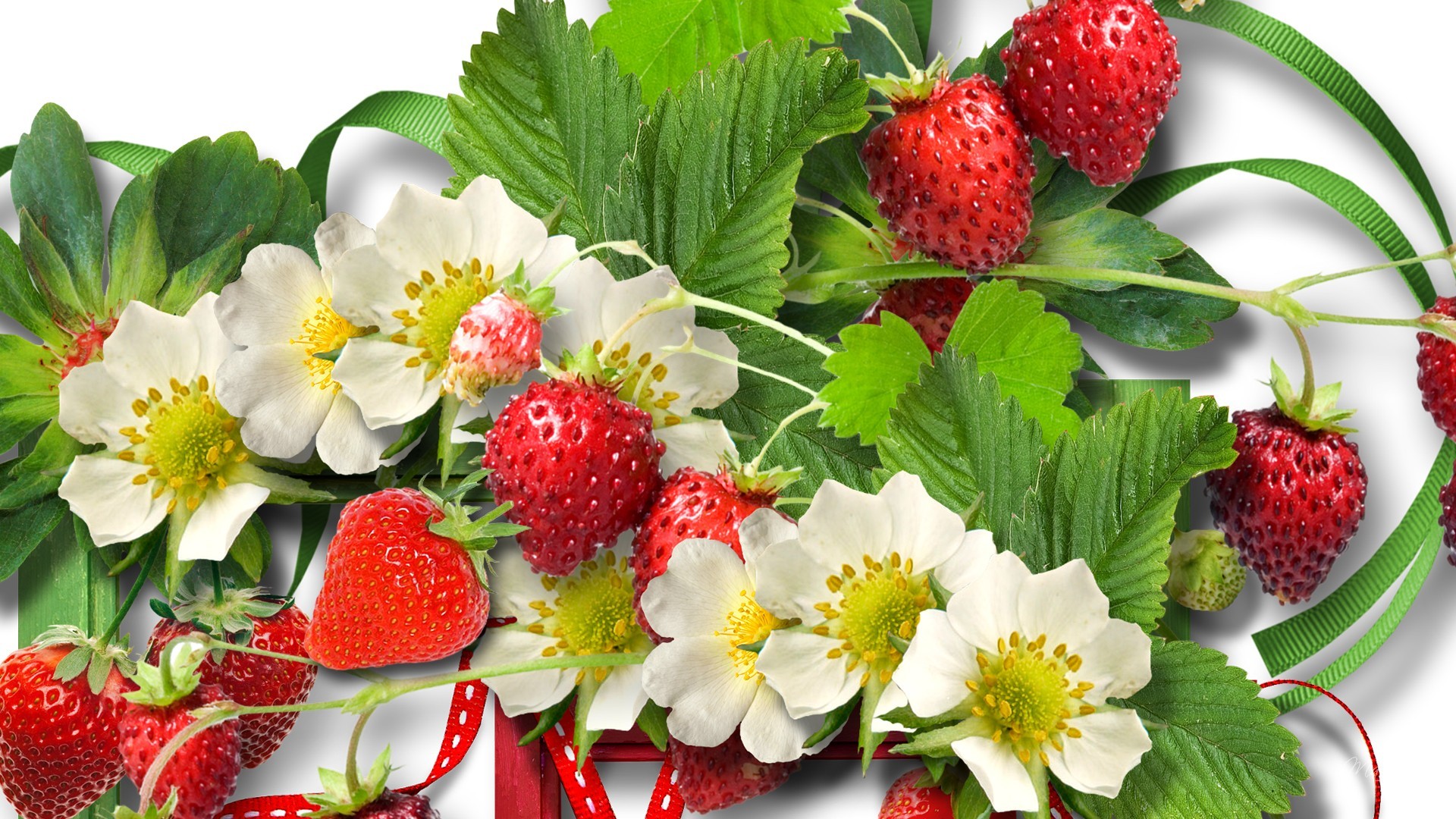 Flowers: Summer Flowers Strawberry Fruit Berries Season Strawberries ...
