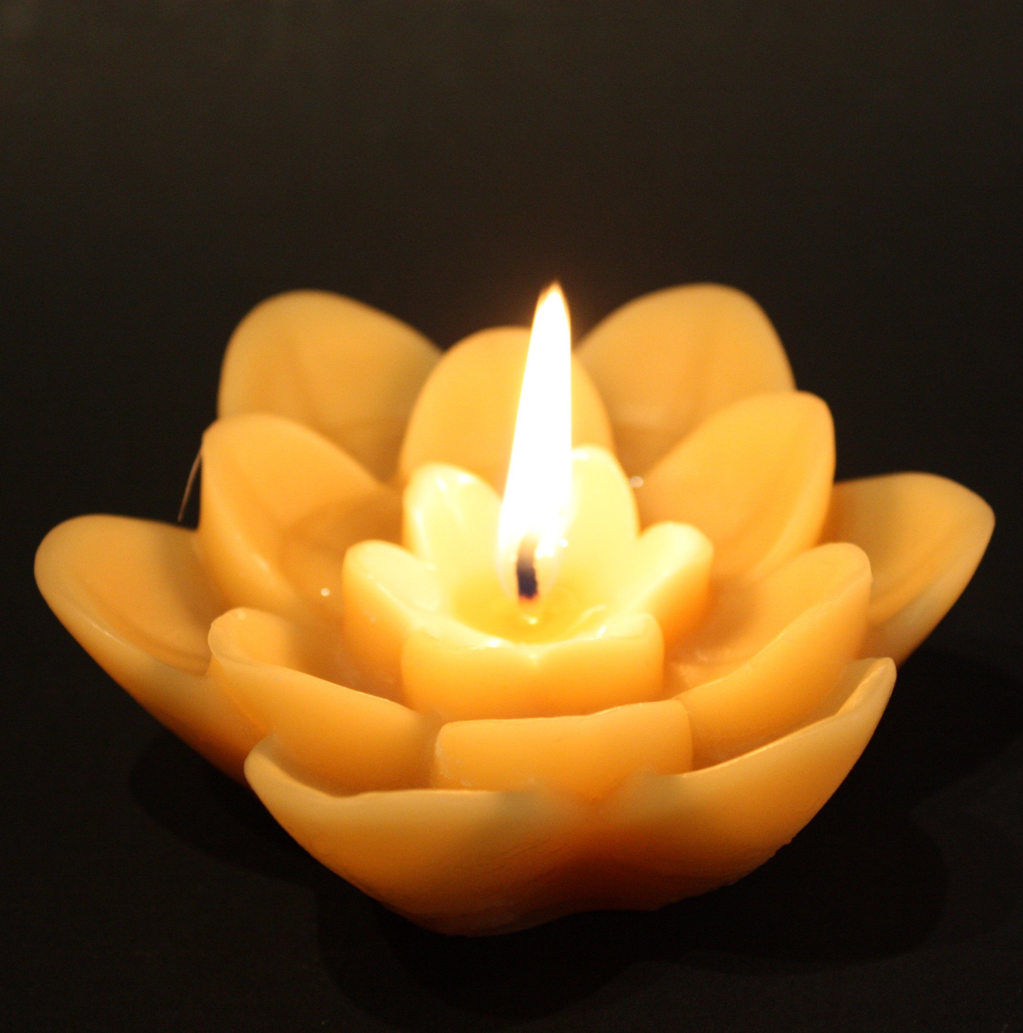 Floating Lotus Flower beeswax candle | Happy Flame