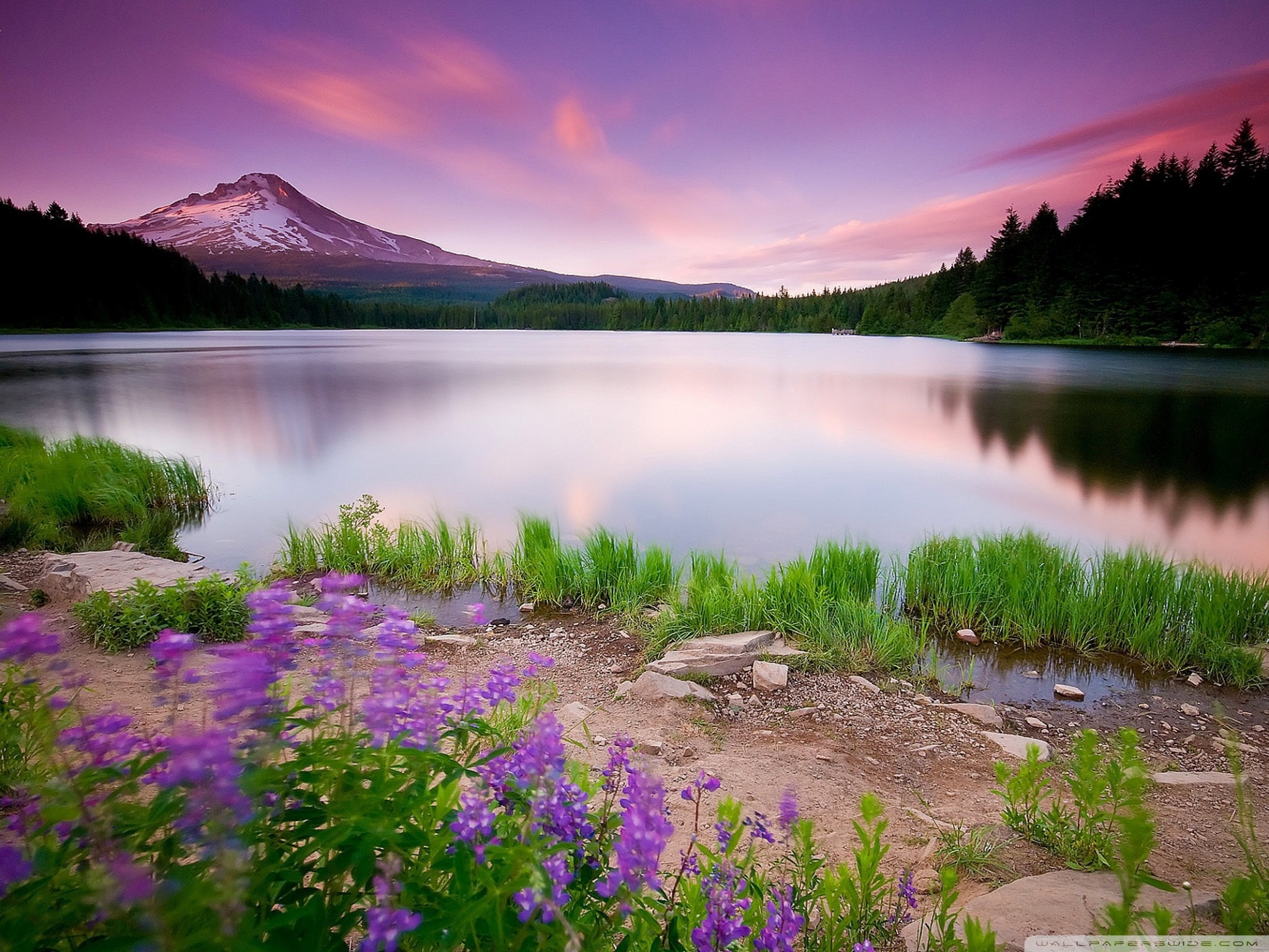 Mountain Lake And Flowers ❤ 4K HD Desktop Wallpaper for 4K Ultra HD ...