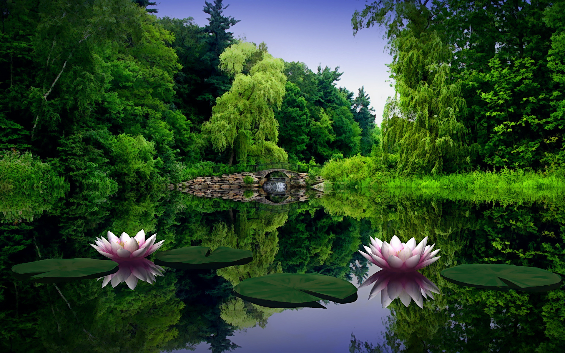 Beautiful Lotus Flowers For Wallpaper High Definition Desktop ...