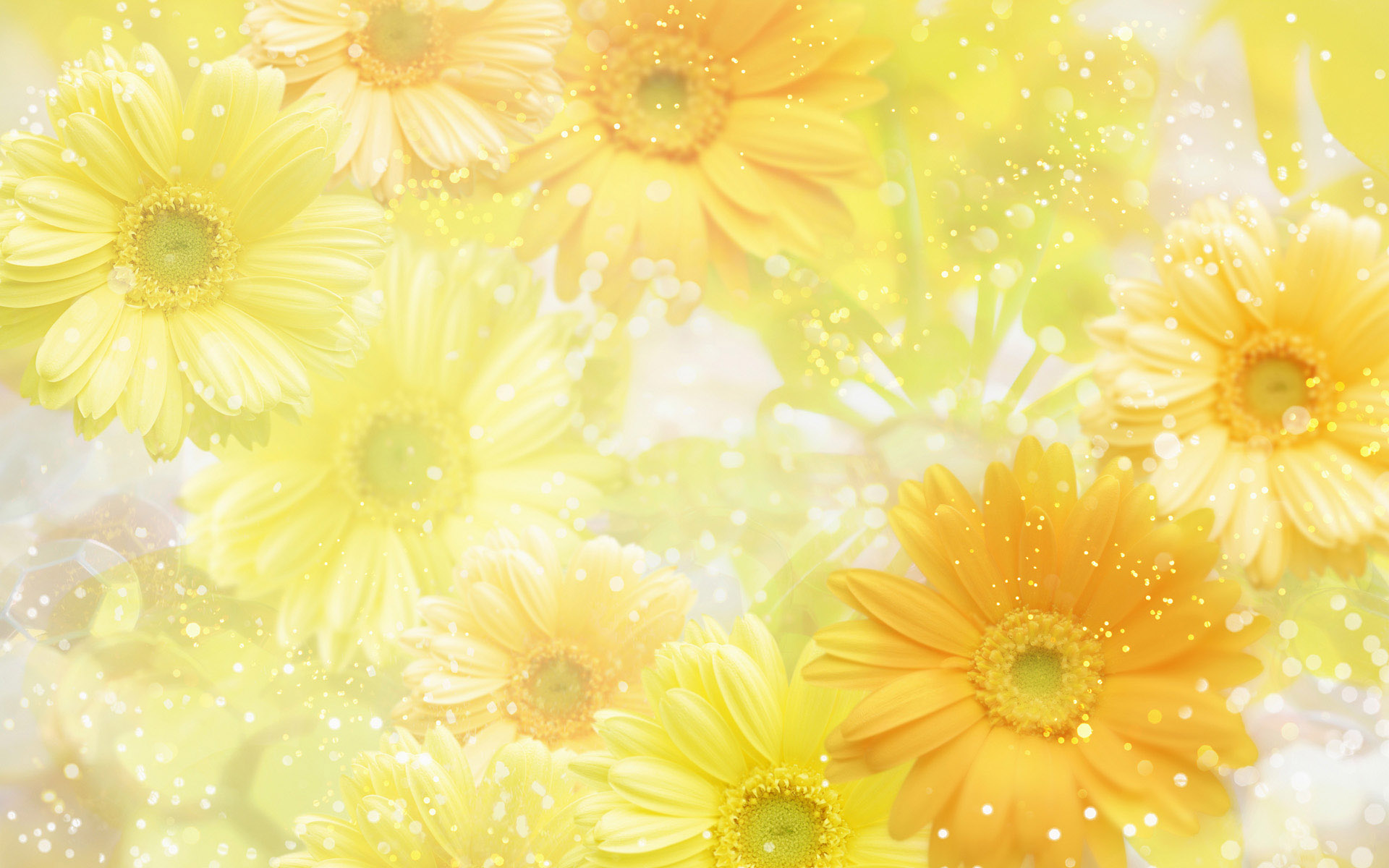 Flower Background HD Wallpapers 16344 - Baltana
