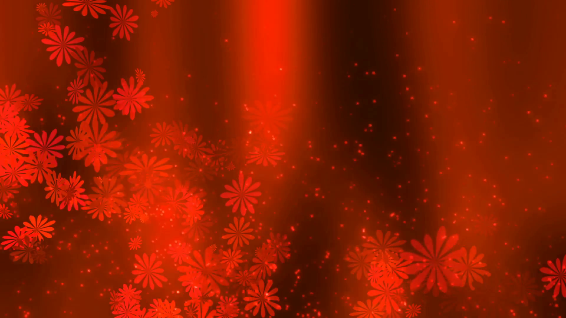 Red Love abstract flower Background 01 Stock Video Footage - Videoblocks