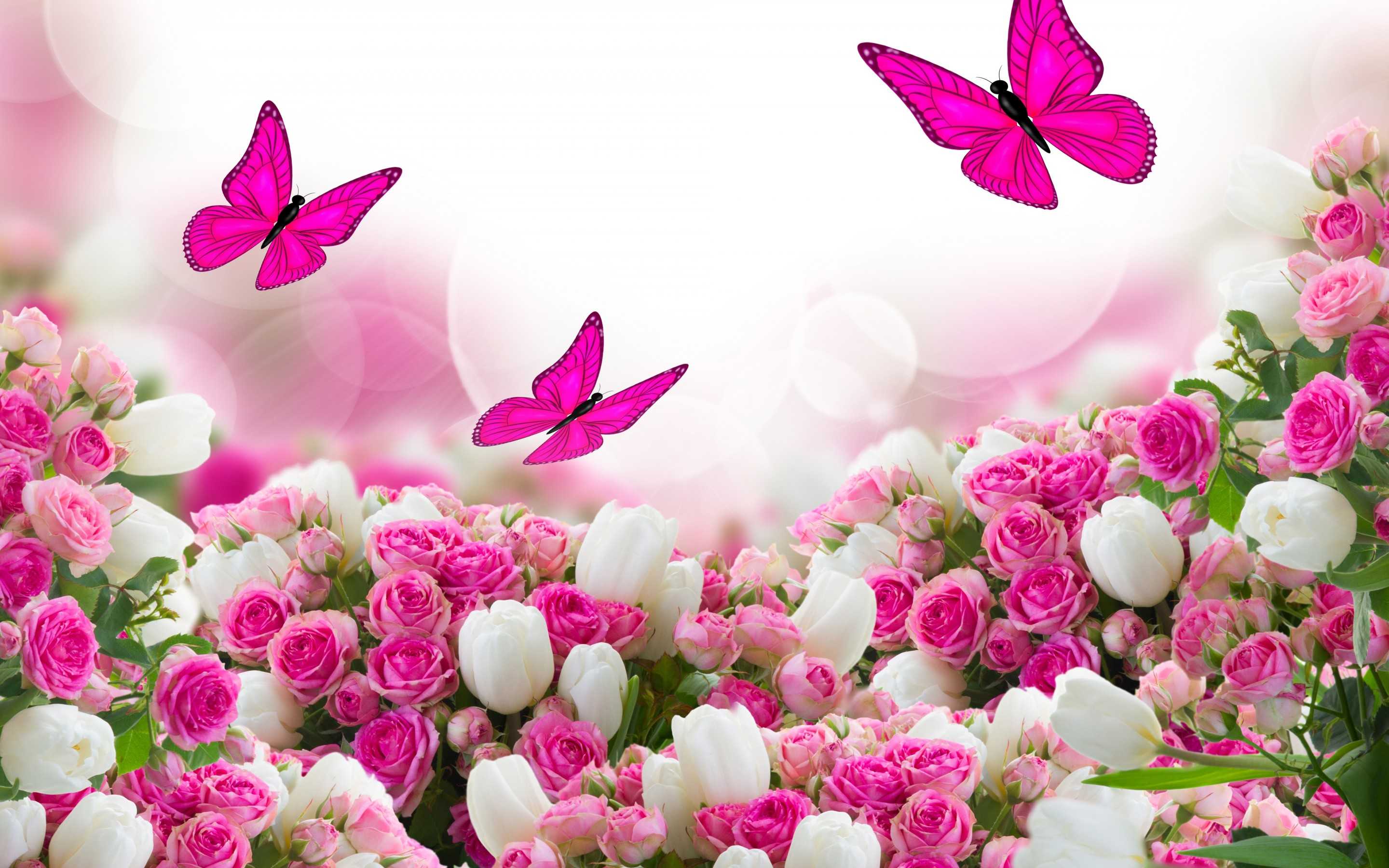 Wallpaper Of Desktop Flowers Pink Roses High Resolution Rose Flower ...