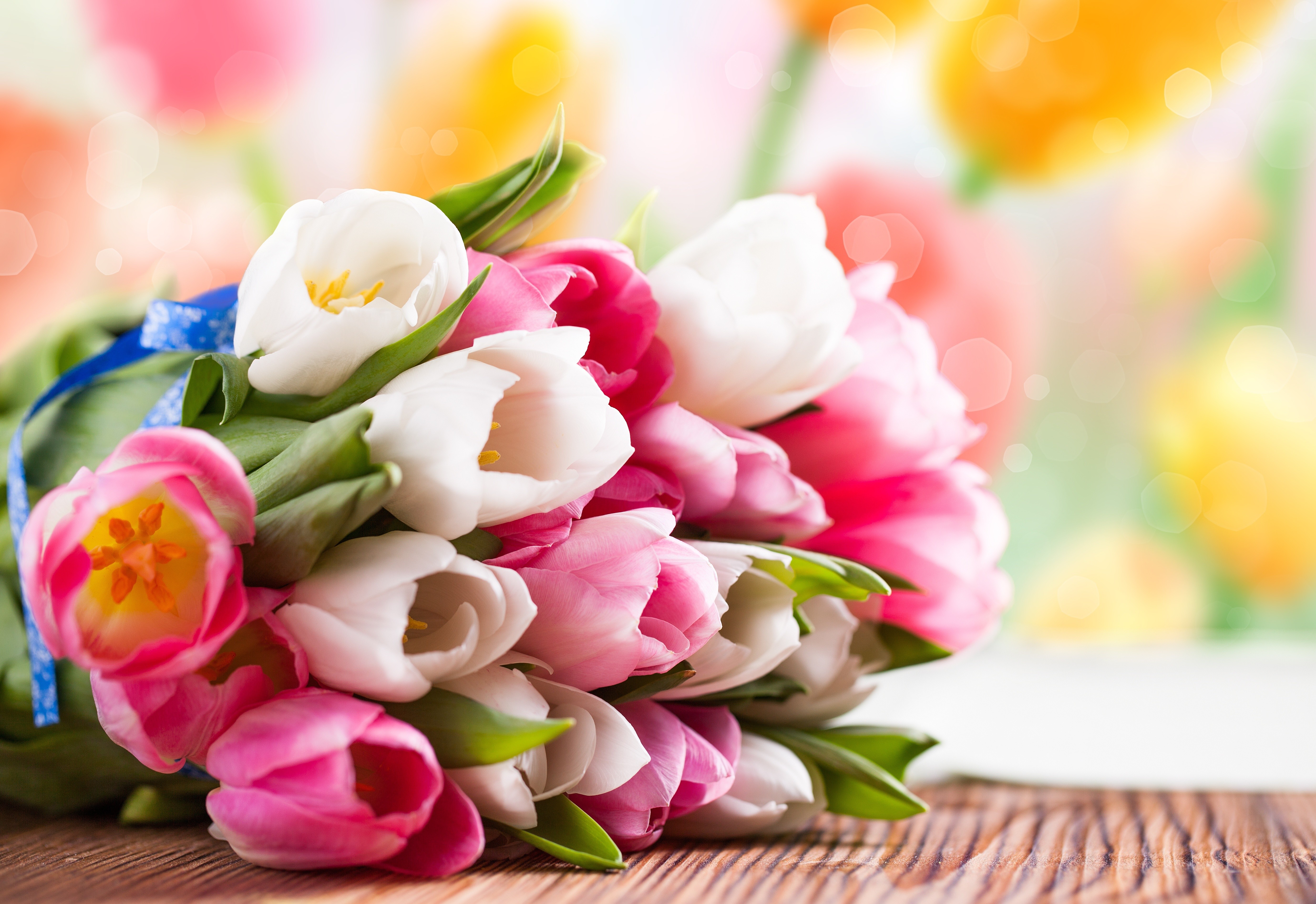 Flowers: Love Photography Bouquet Nature Flowers Tulips Beautiful ...