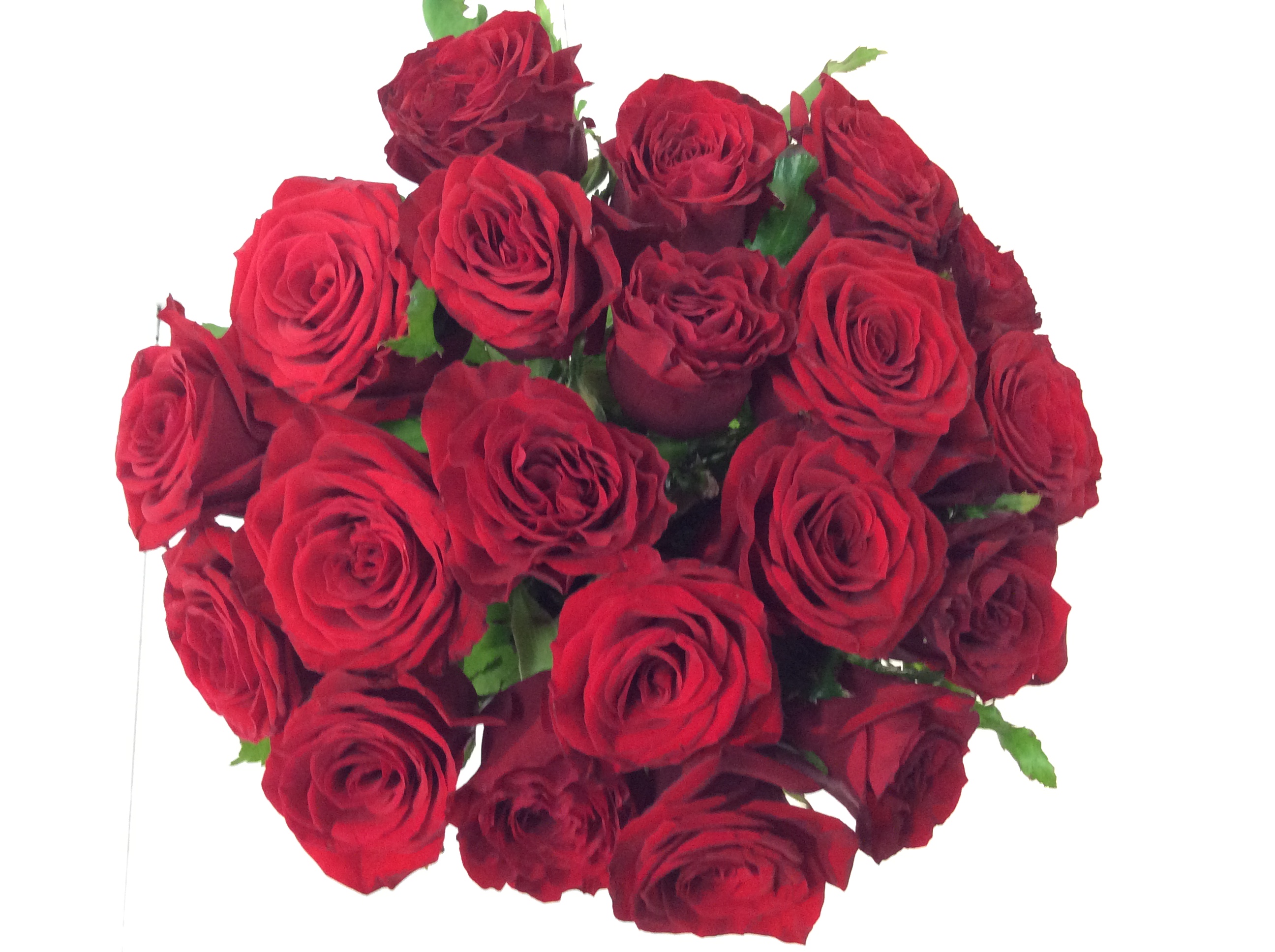 Special Request Flower Bouquet | Flower Wholesalers Auckland