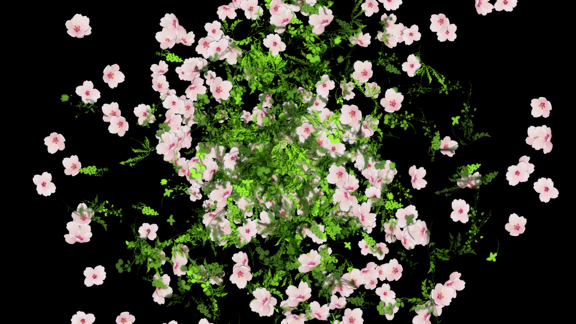 Flowers Explosion Animation Background. Alpha Channel included ...