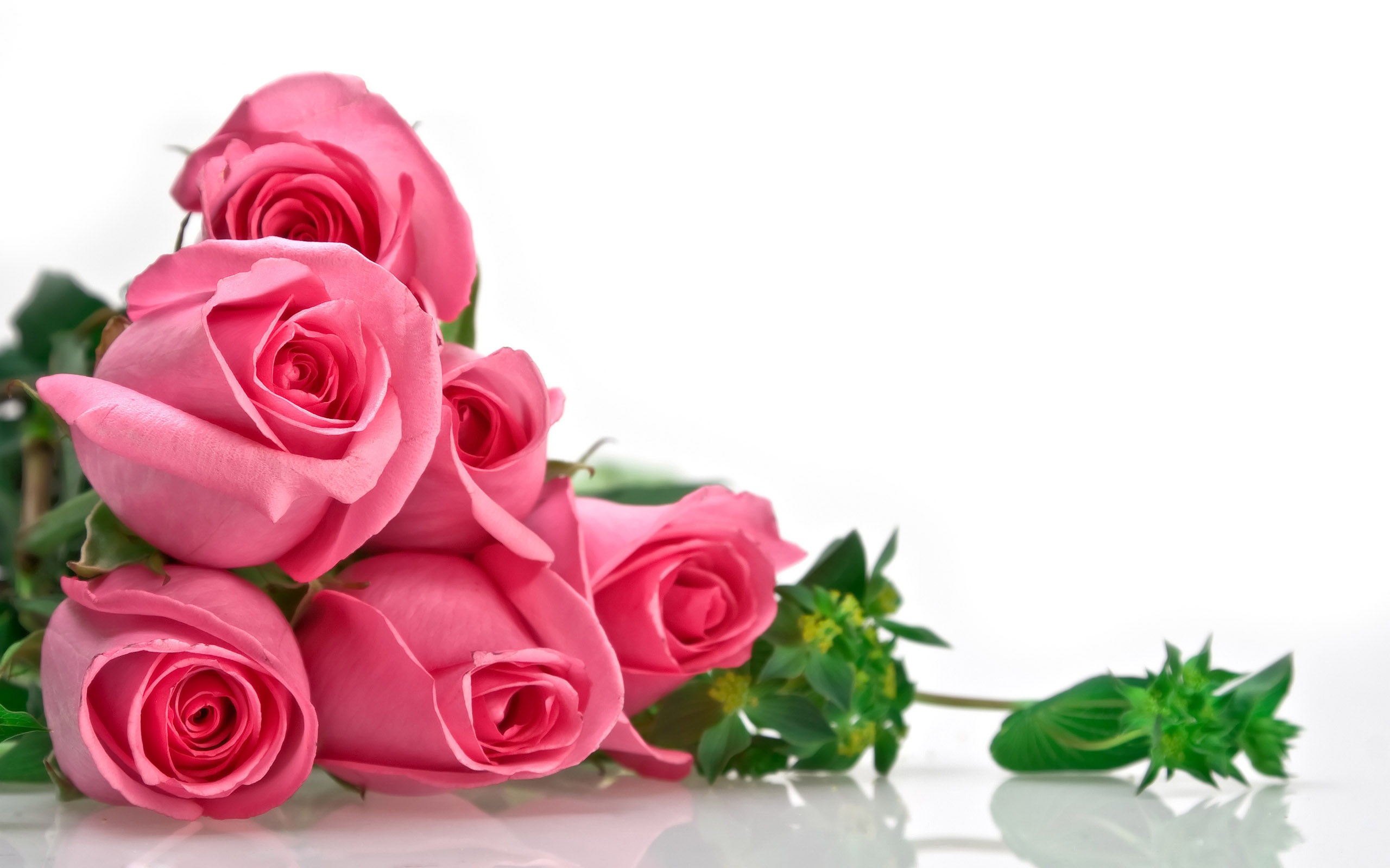 Love rose for you wishes greetings flower HD wallpaper | HD ...