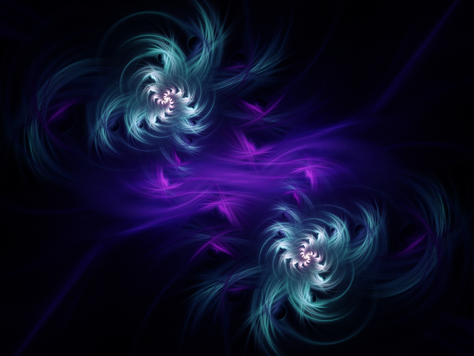 Flower fractal photo