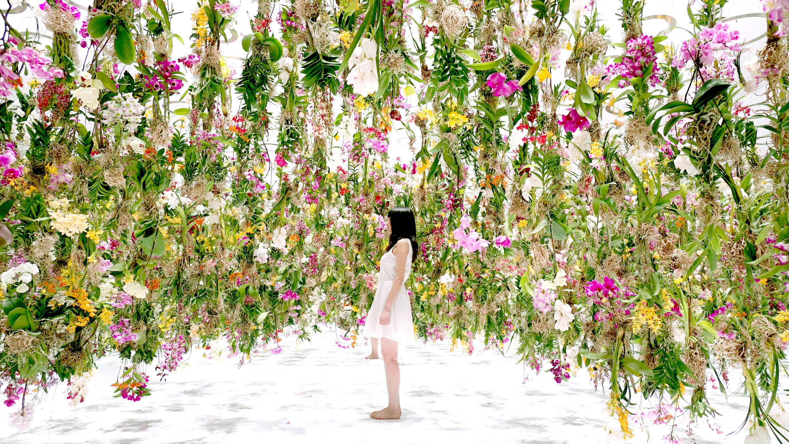 A Suspended Flower Garden That Lifts Out of the Way When a Person ...