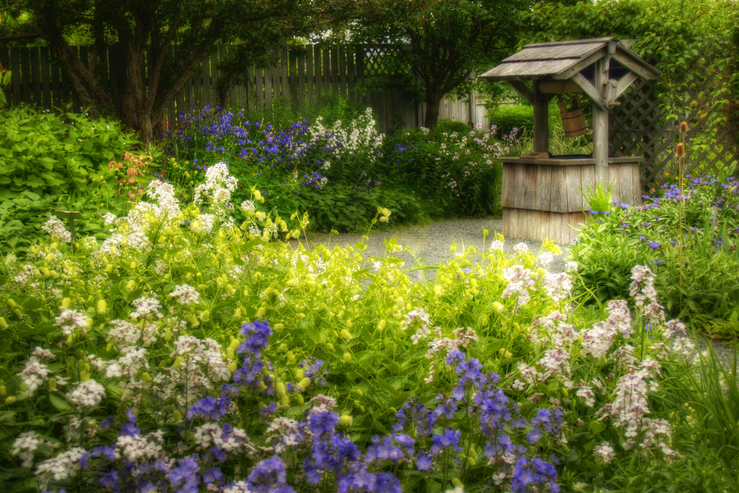 Flower garden photo