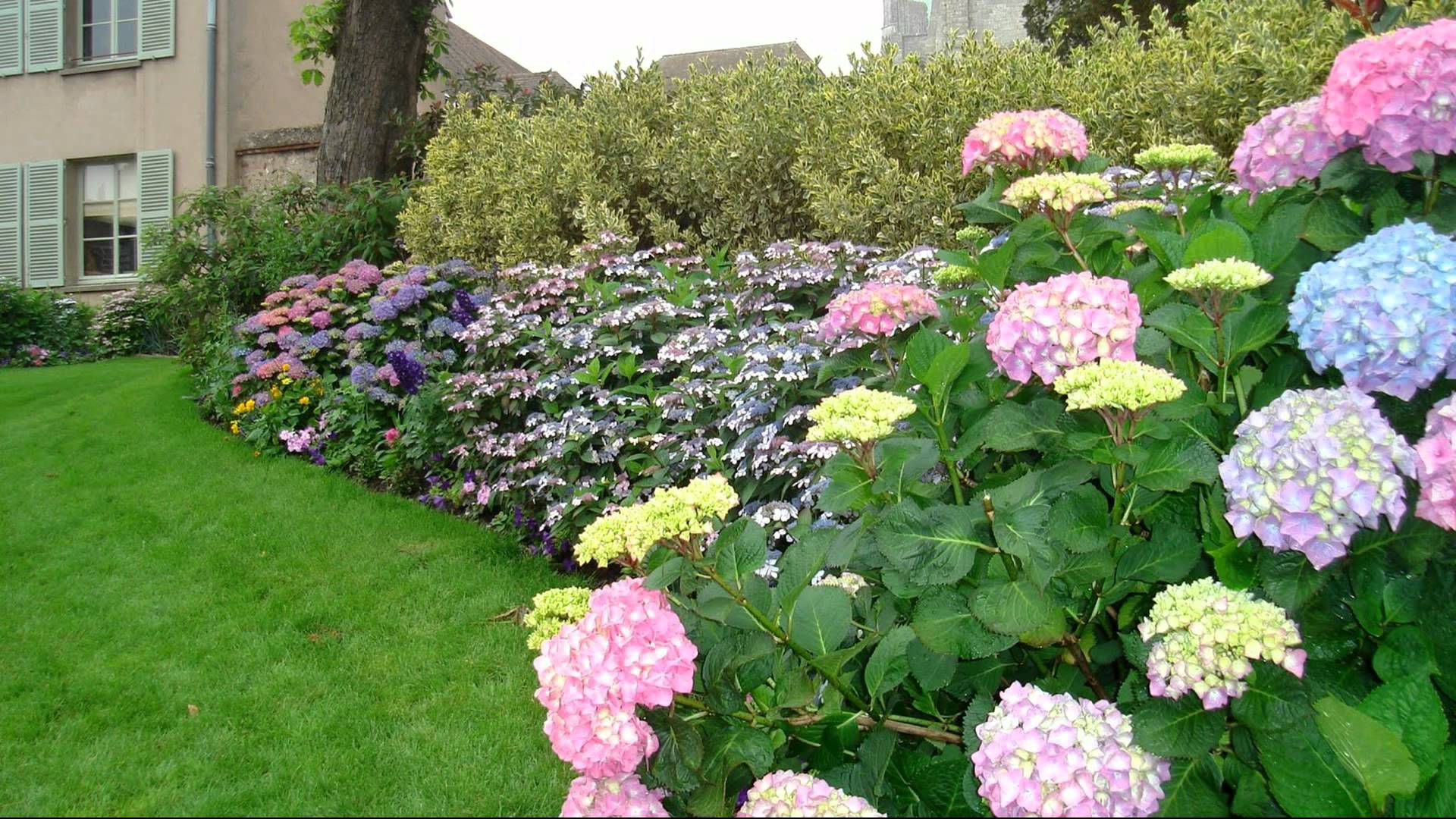 Enhance the Beauty of Your Home with a Flower Garden - YouTube