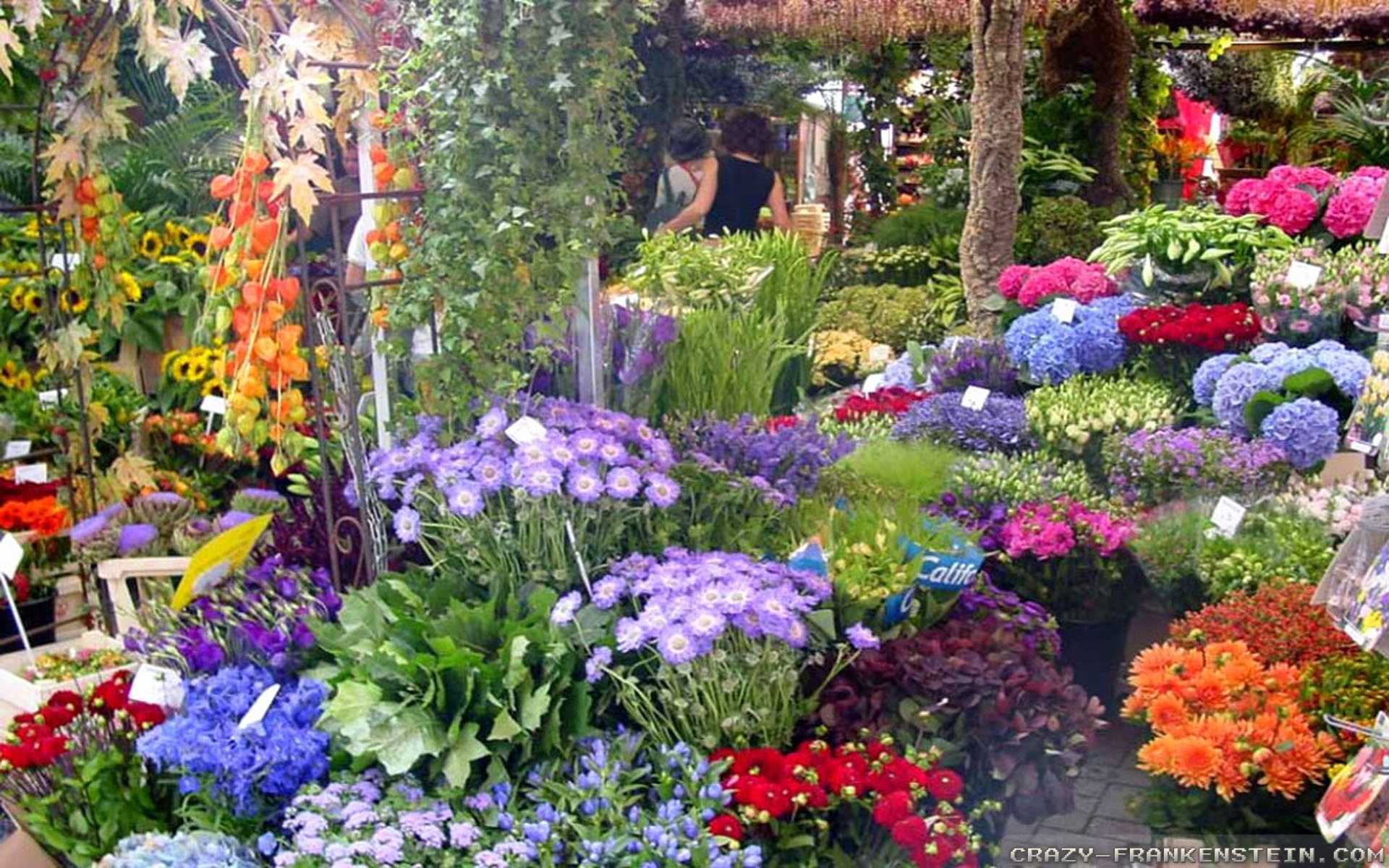 Beautiful Flower Garden Trends And Fabulous Flowers Gardens In House ...