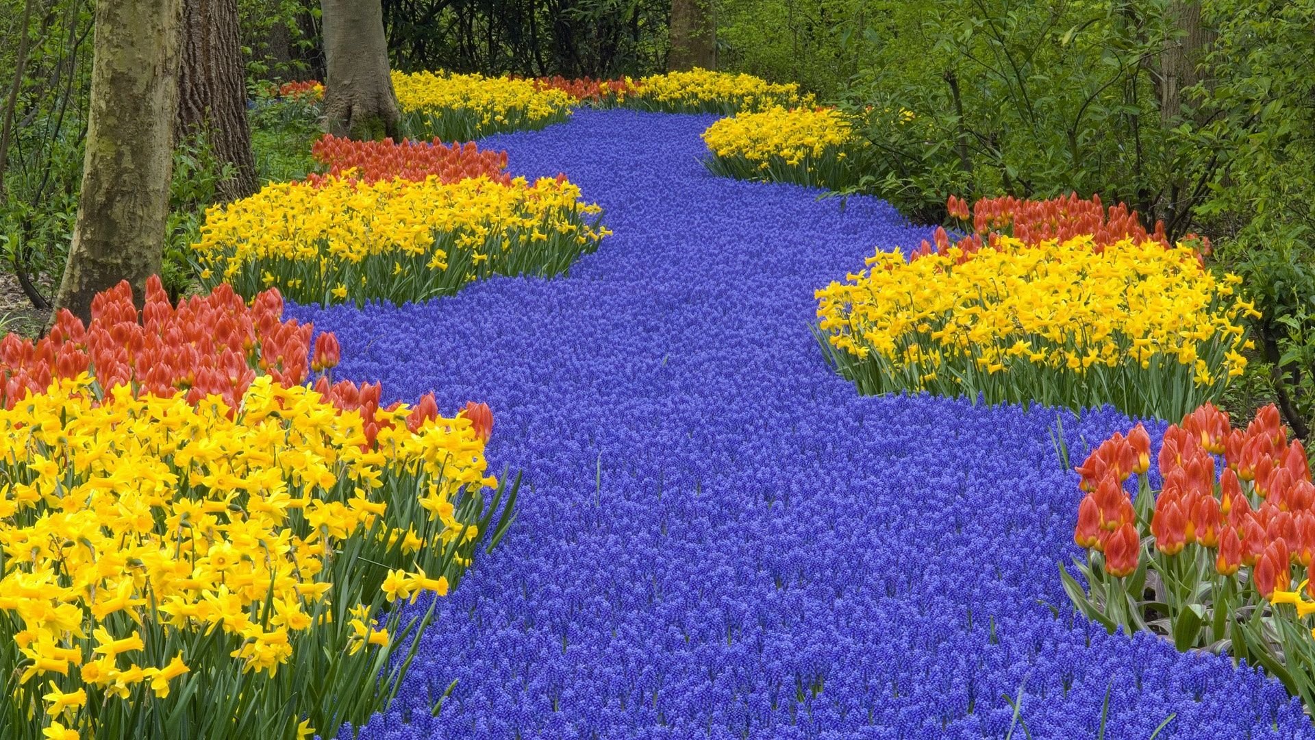 Amazing Flower Garden - WallDevil