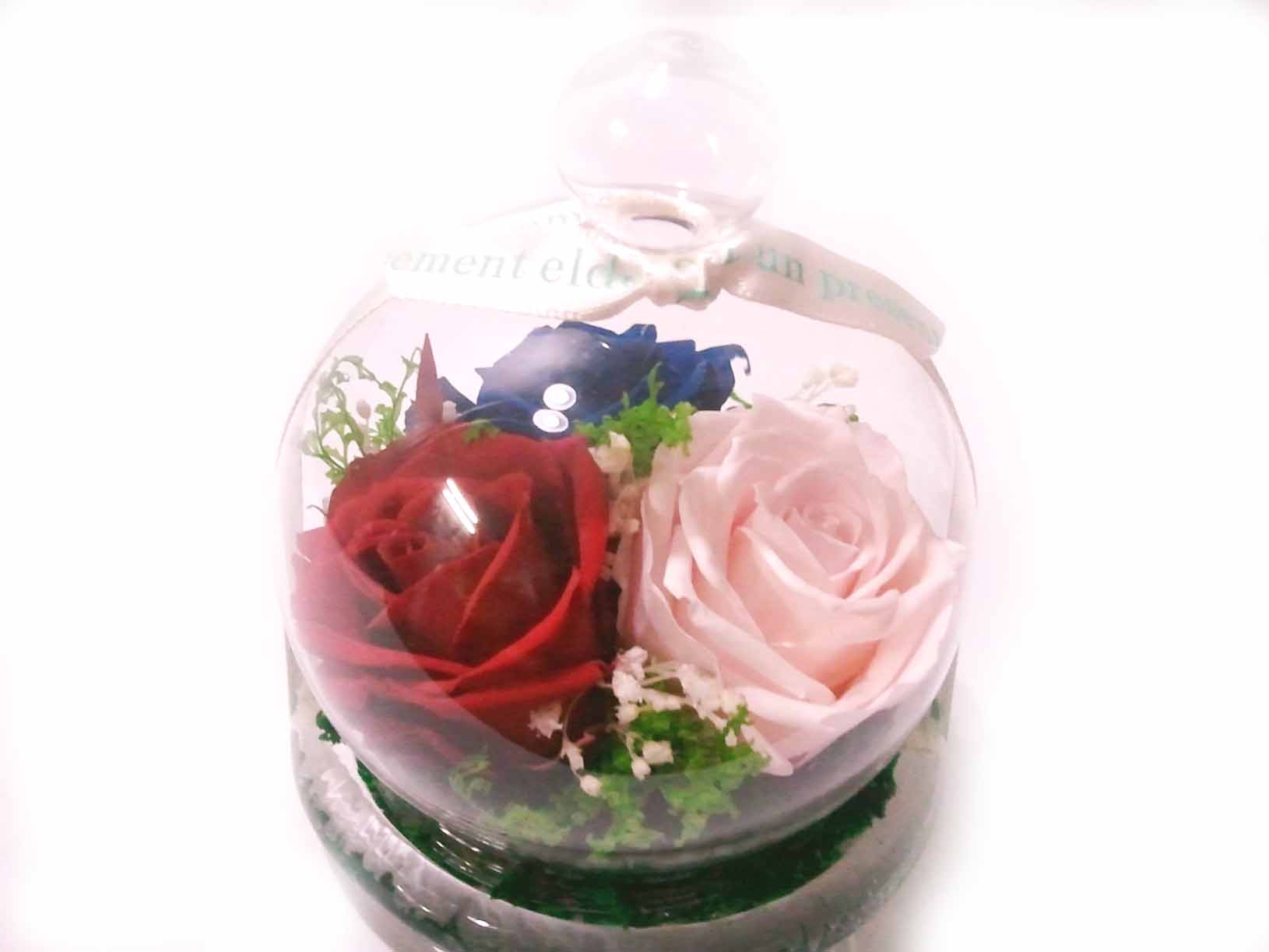 Preserved Flowers In Glass Dome - Buy Flower In Glass Box Product on ...