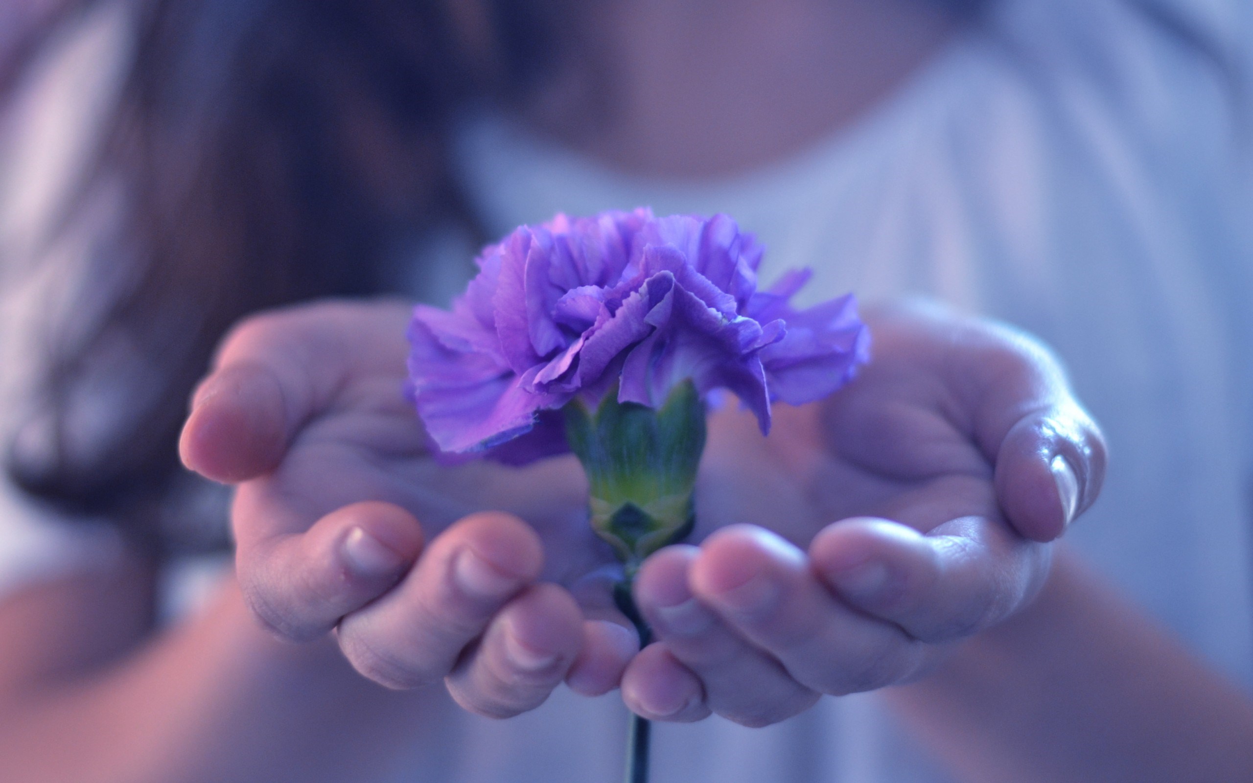 Flower in hand - Instamoz Photo sharing