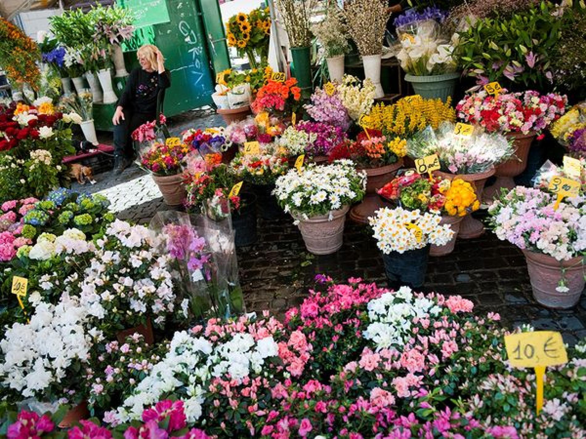 Outdoor Flower Markets -- National Geographic