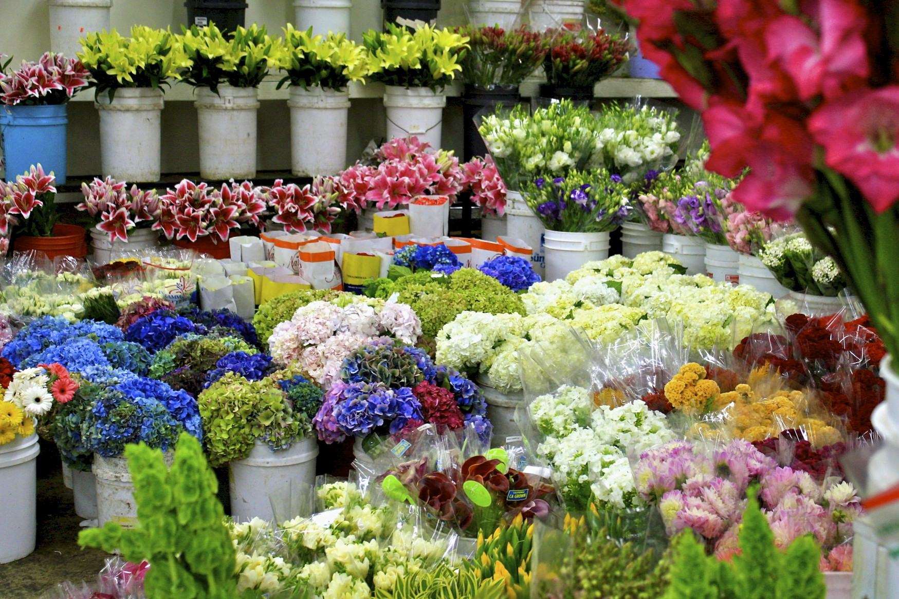 flower market 2