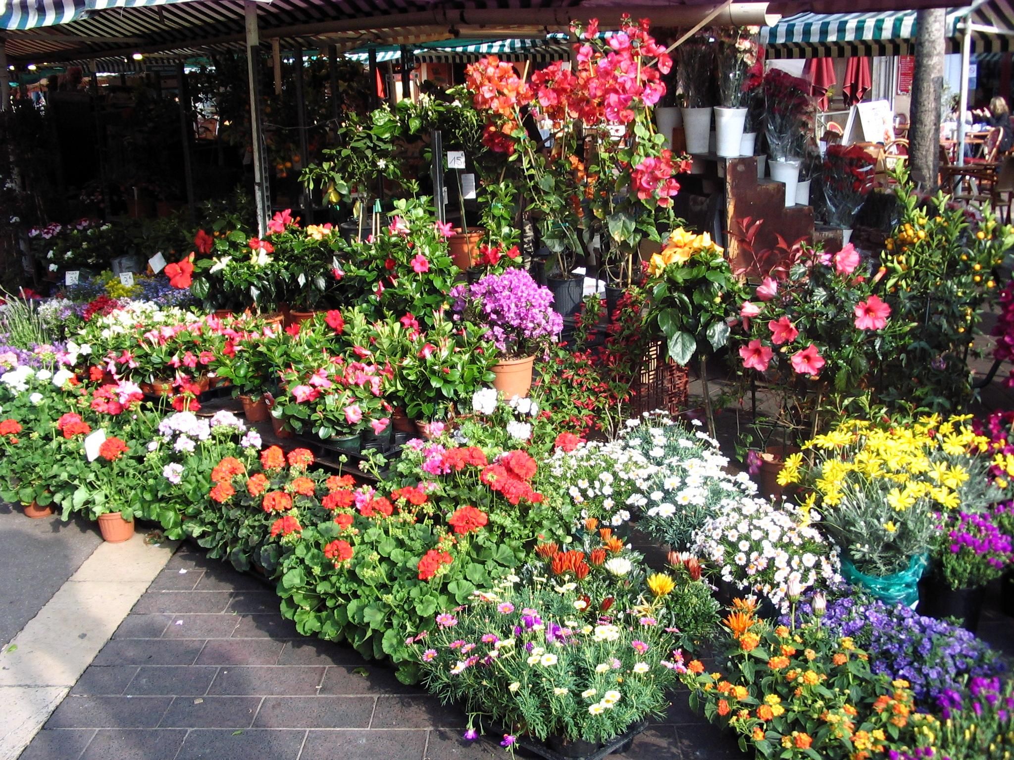 File:Flower market.jpg - Wikimedia Commons