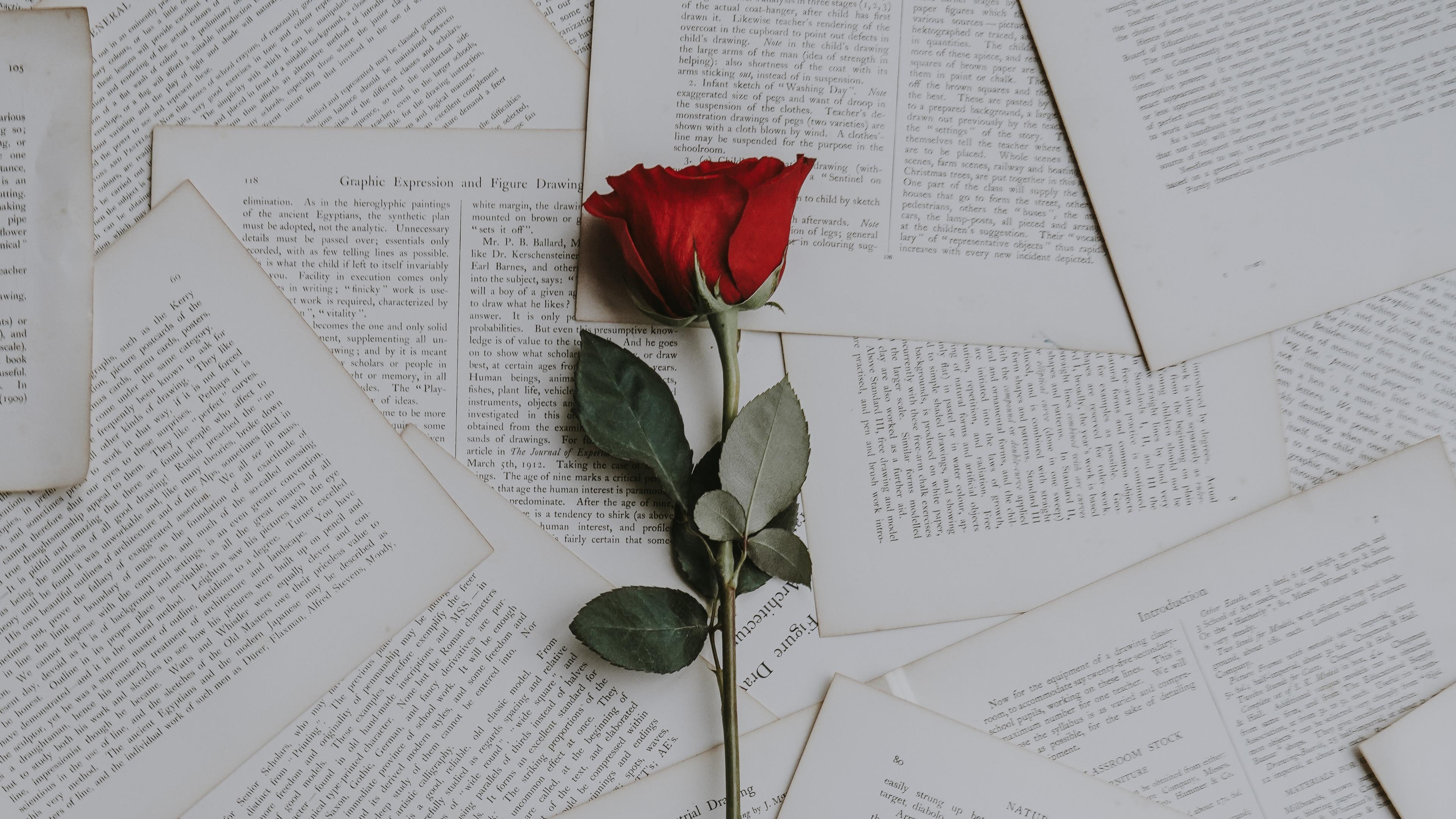 Red Rose On Book Pages Wallpaper | Wallpaper Studio 10 | Tens of ...