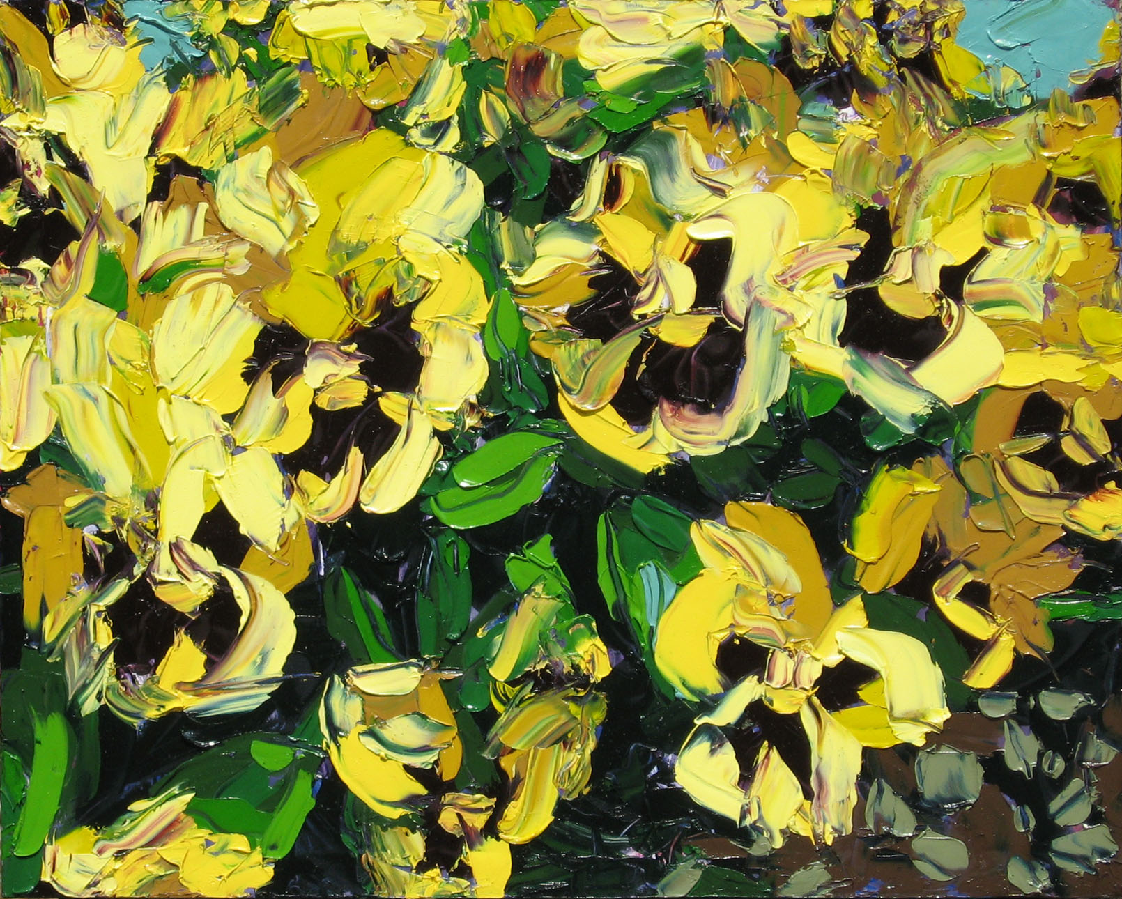 Yellow Flower Patch | Kent Paulette