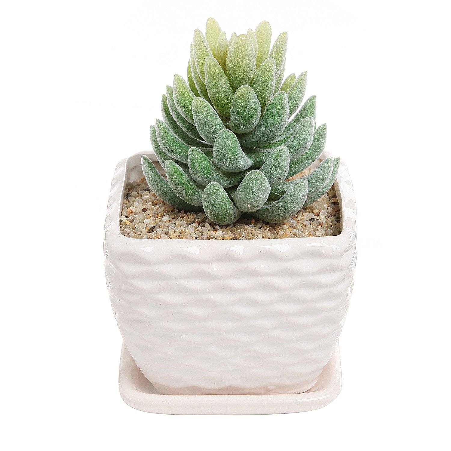 Amazon.com : Contemporary White Ceramic Succulent Planter Flower Pot ...
