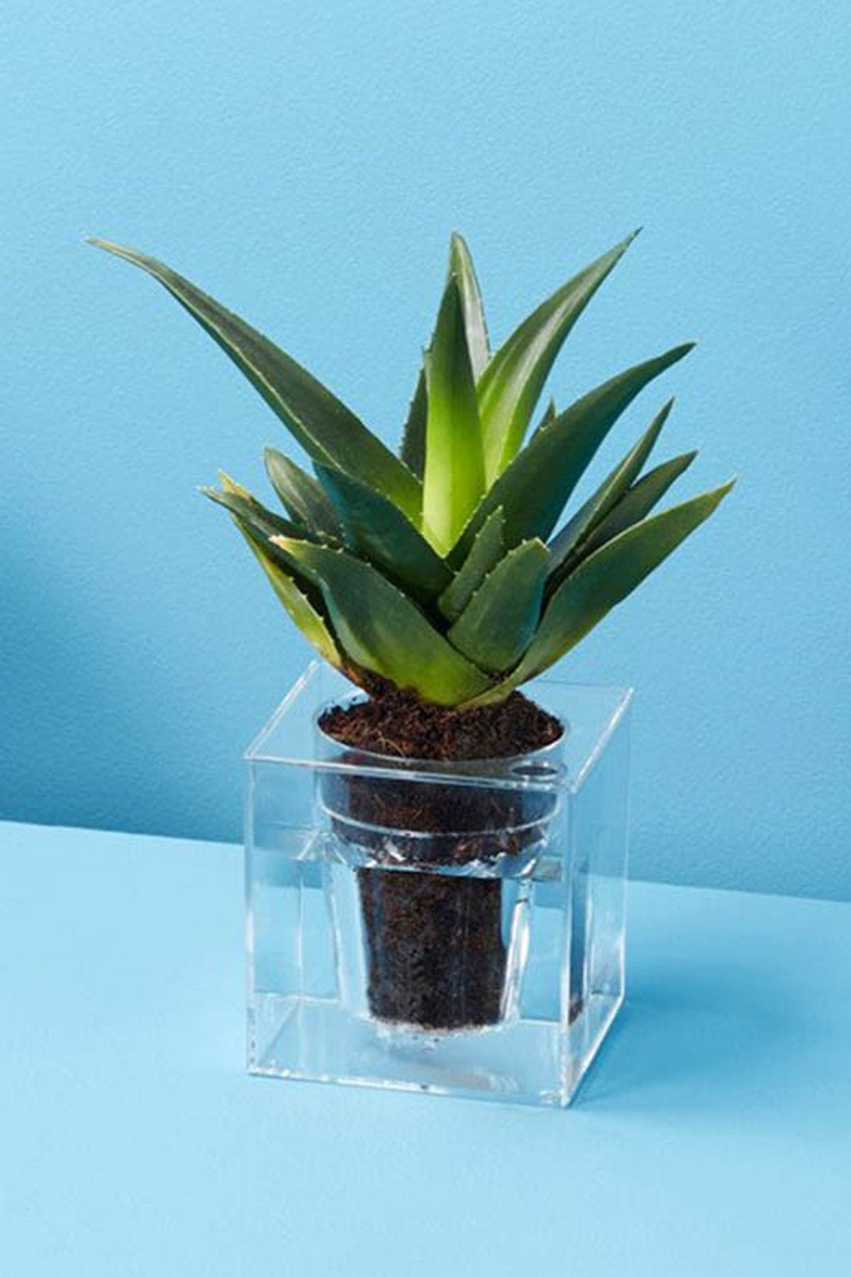 18 Stylish Indoor Flower Pots - Affordable Indoor Pots for Your Plants