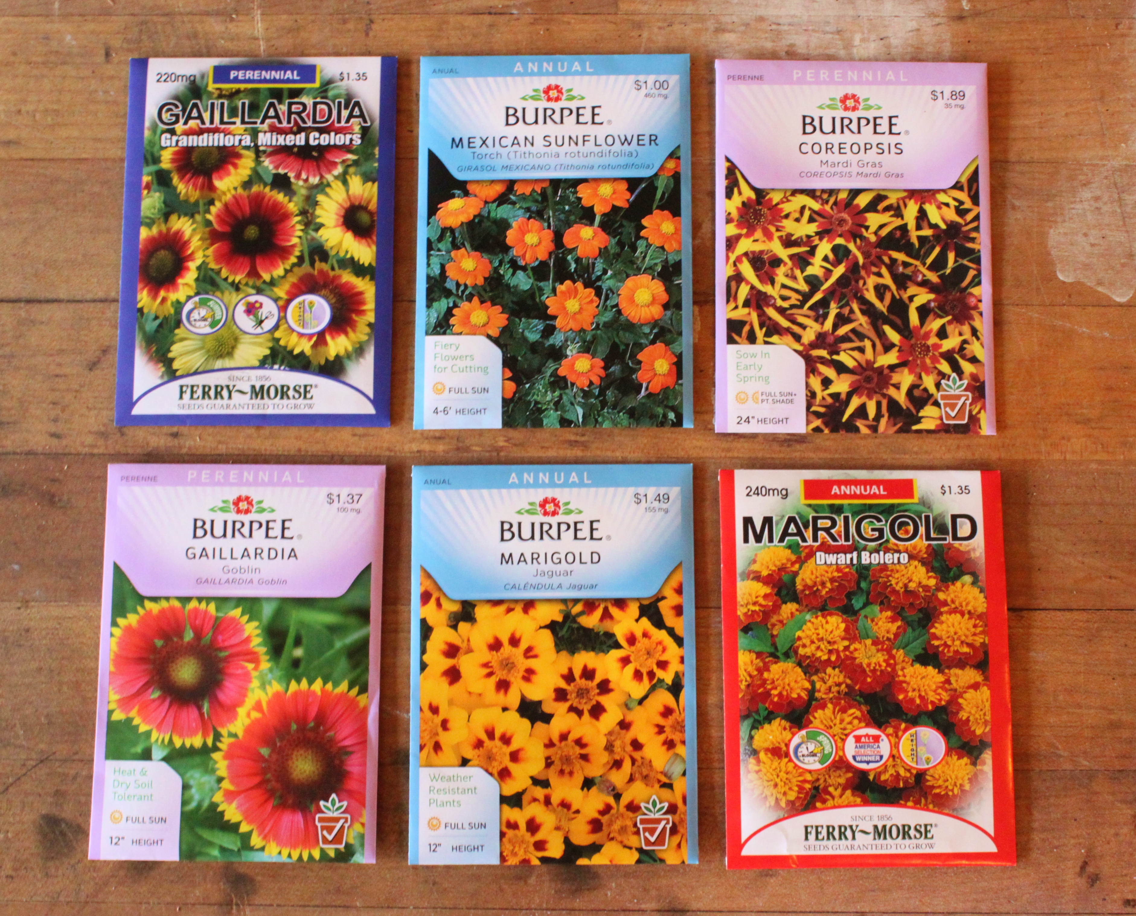 Flower Seeds | THE CAVENDER DIARY