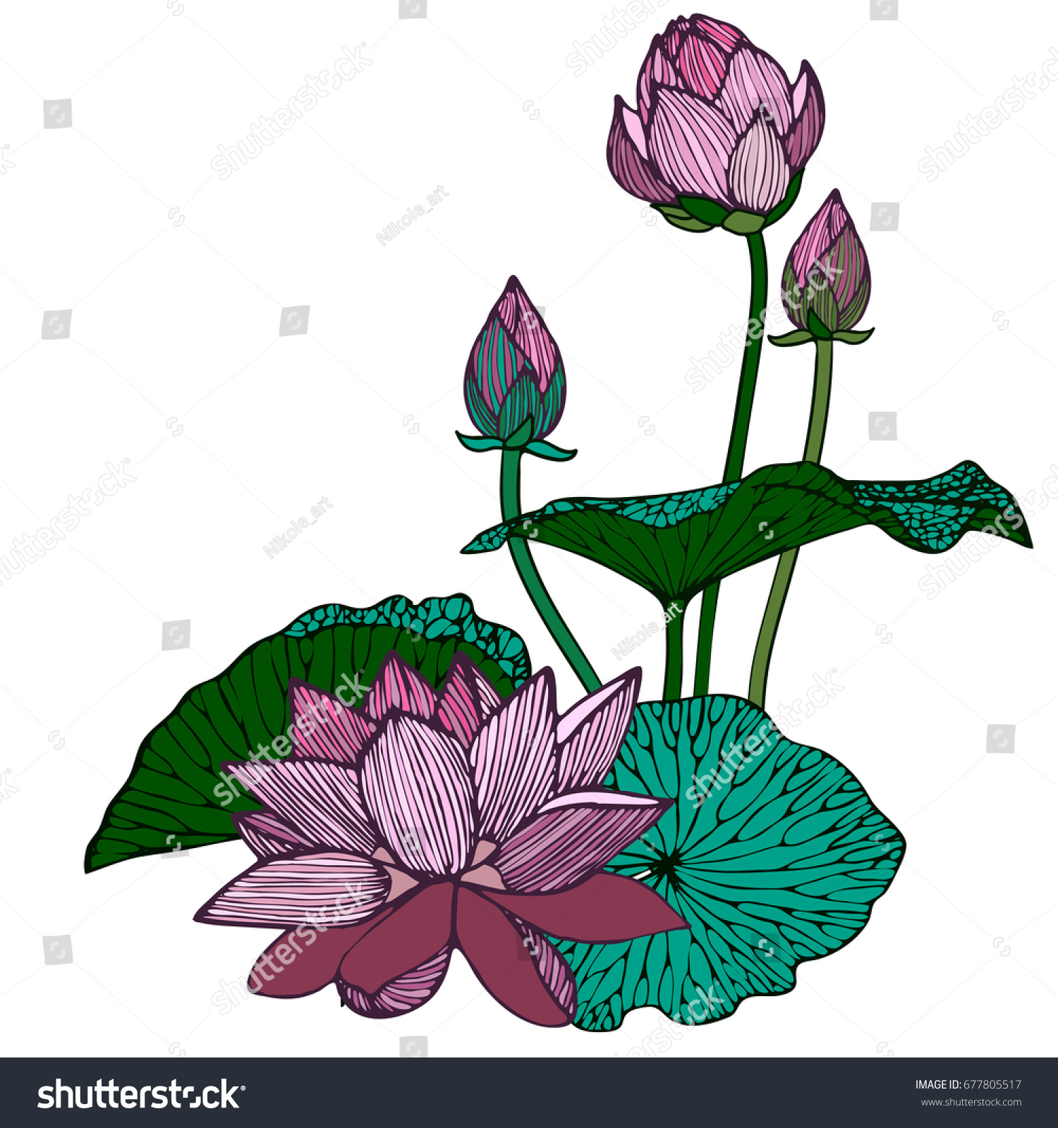 Lotus Flower Bud Green Leaf Graphic Stock Vector HD (Royalty Free ...