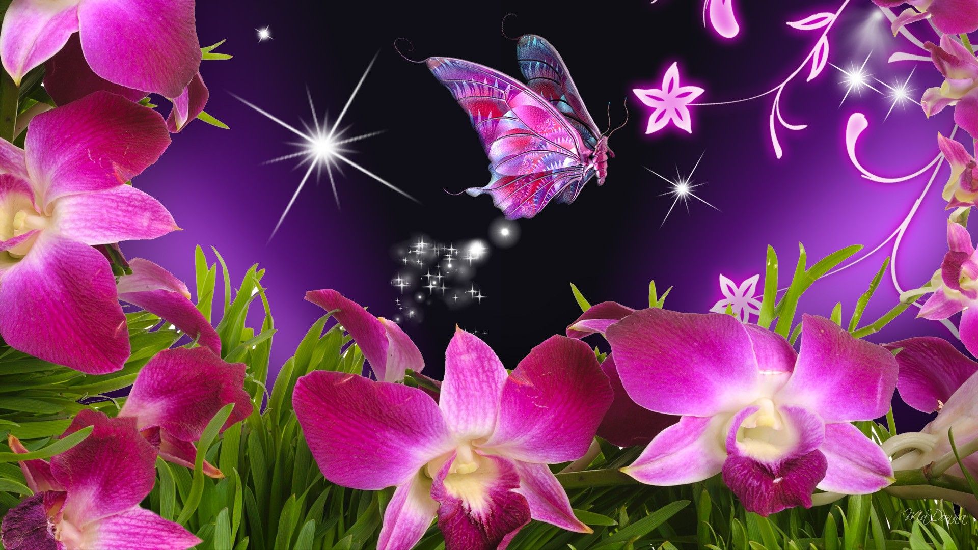 butterflies and flowers | Butterfly Flowers Orchid Purple Stars ...