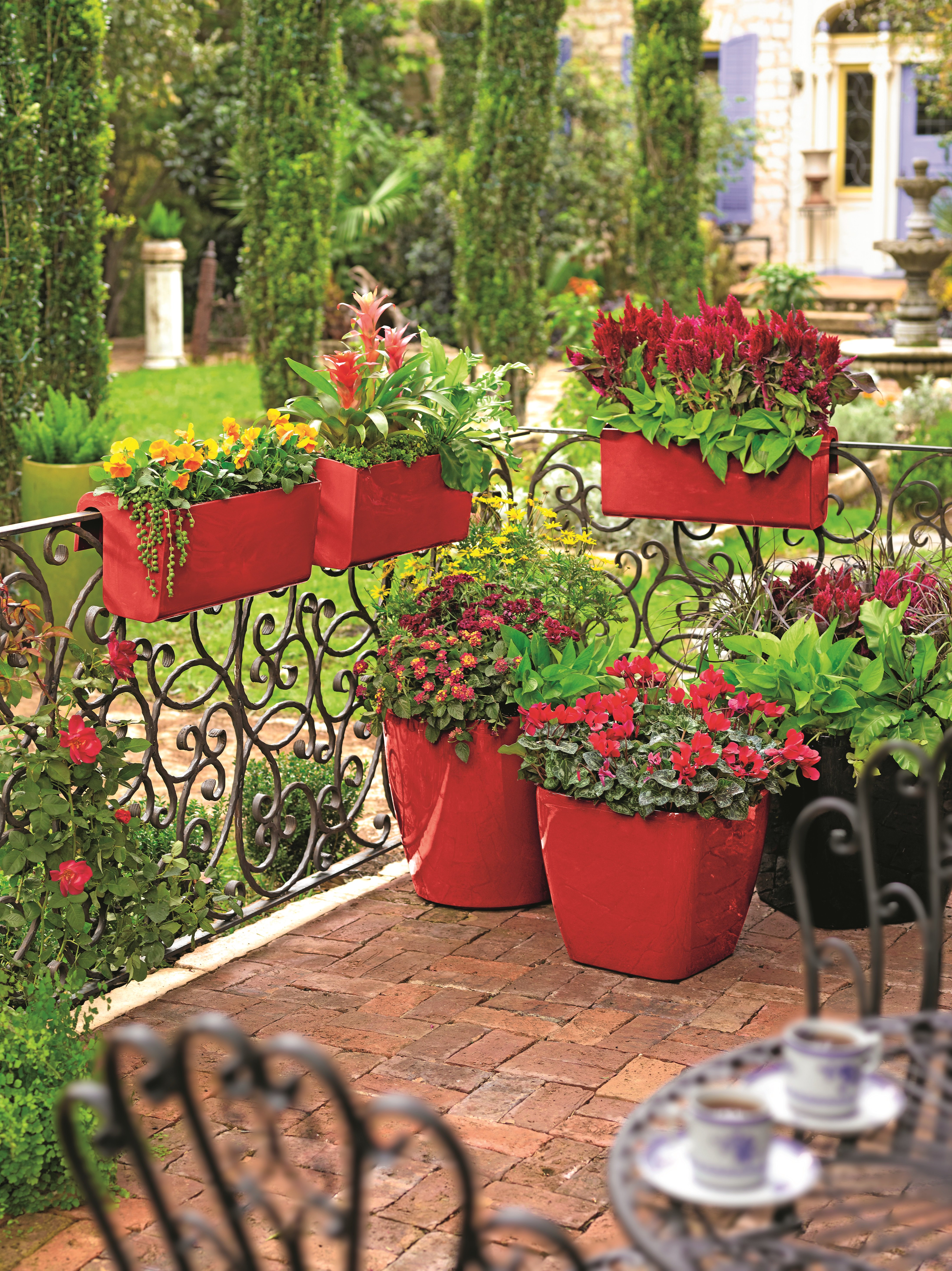 Get growing with 10 tips for foolproof flowerpots