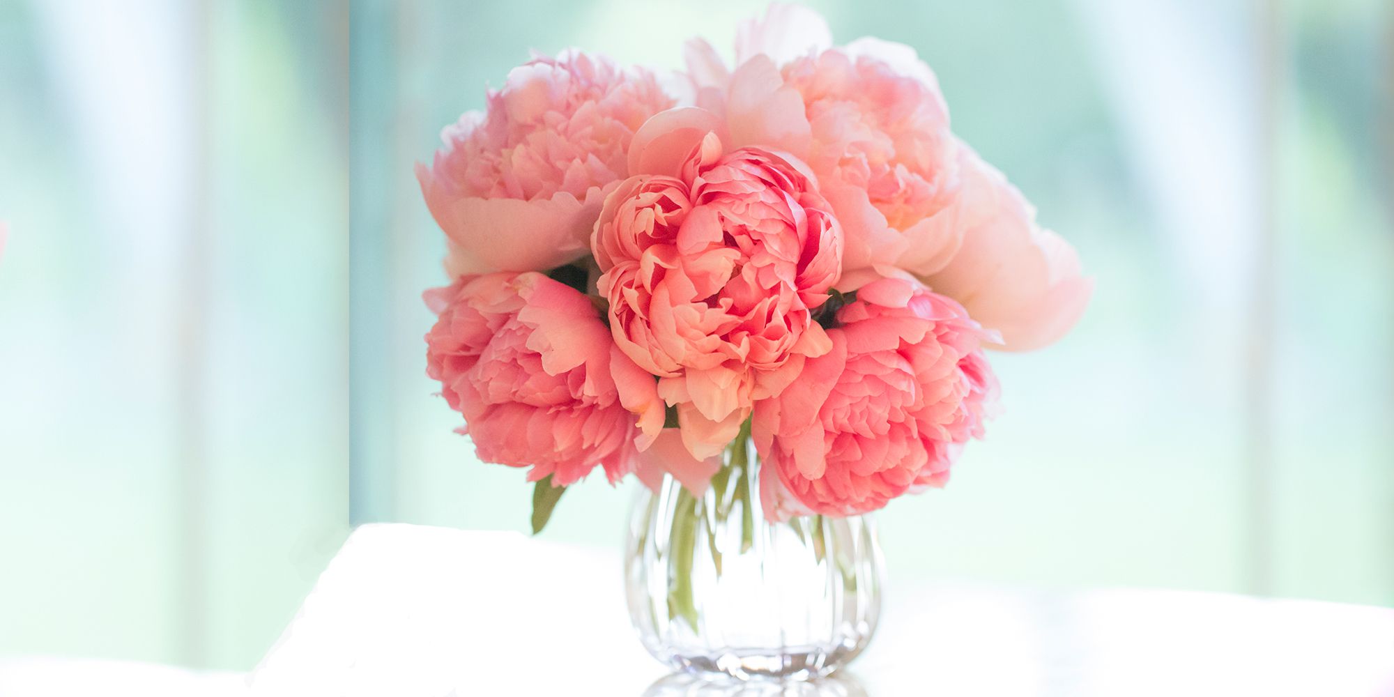 11 Best Flowers for Valentine's Day - Popular Roses & Arrangements ...