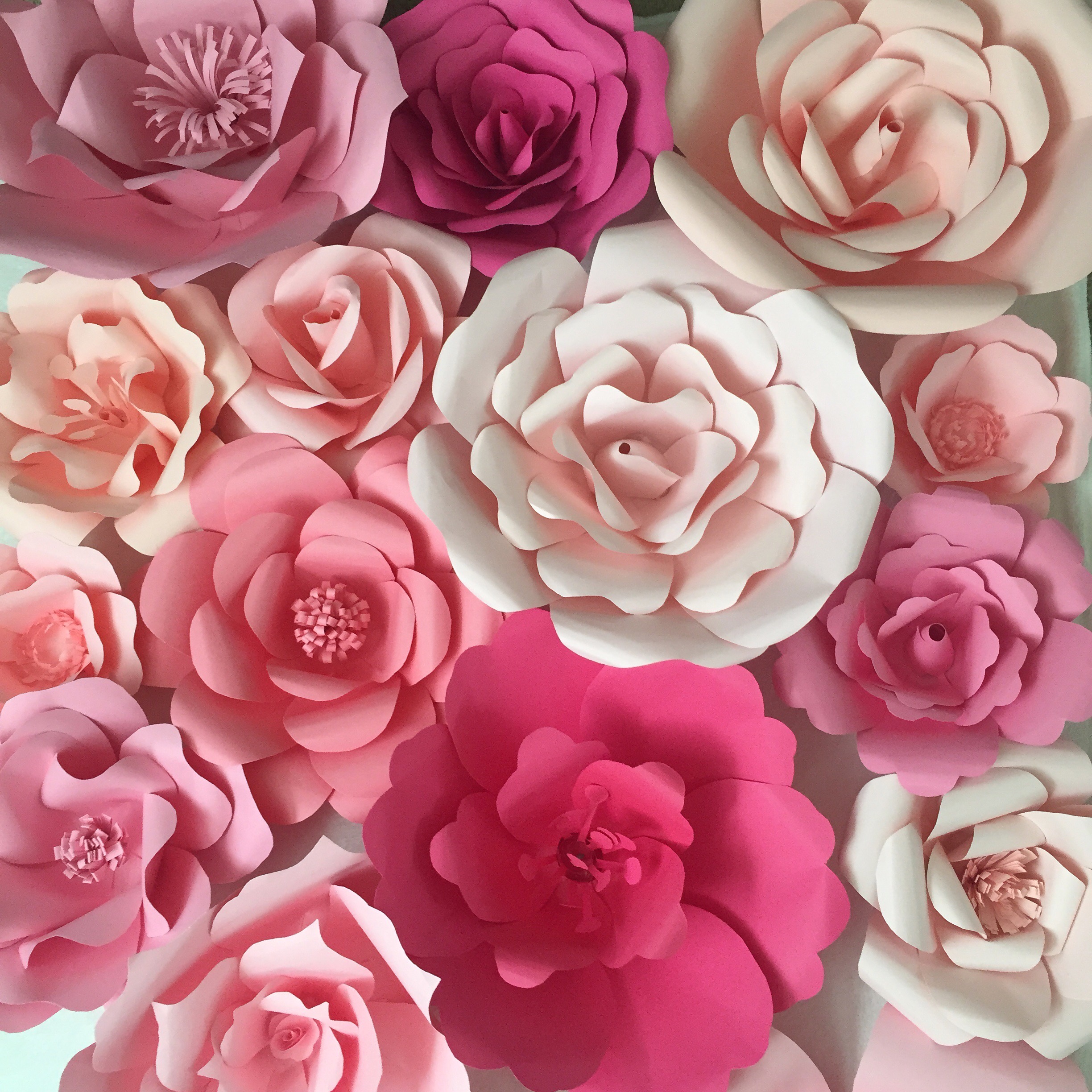 Paper Flower Backdrop - Ash and Crafts