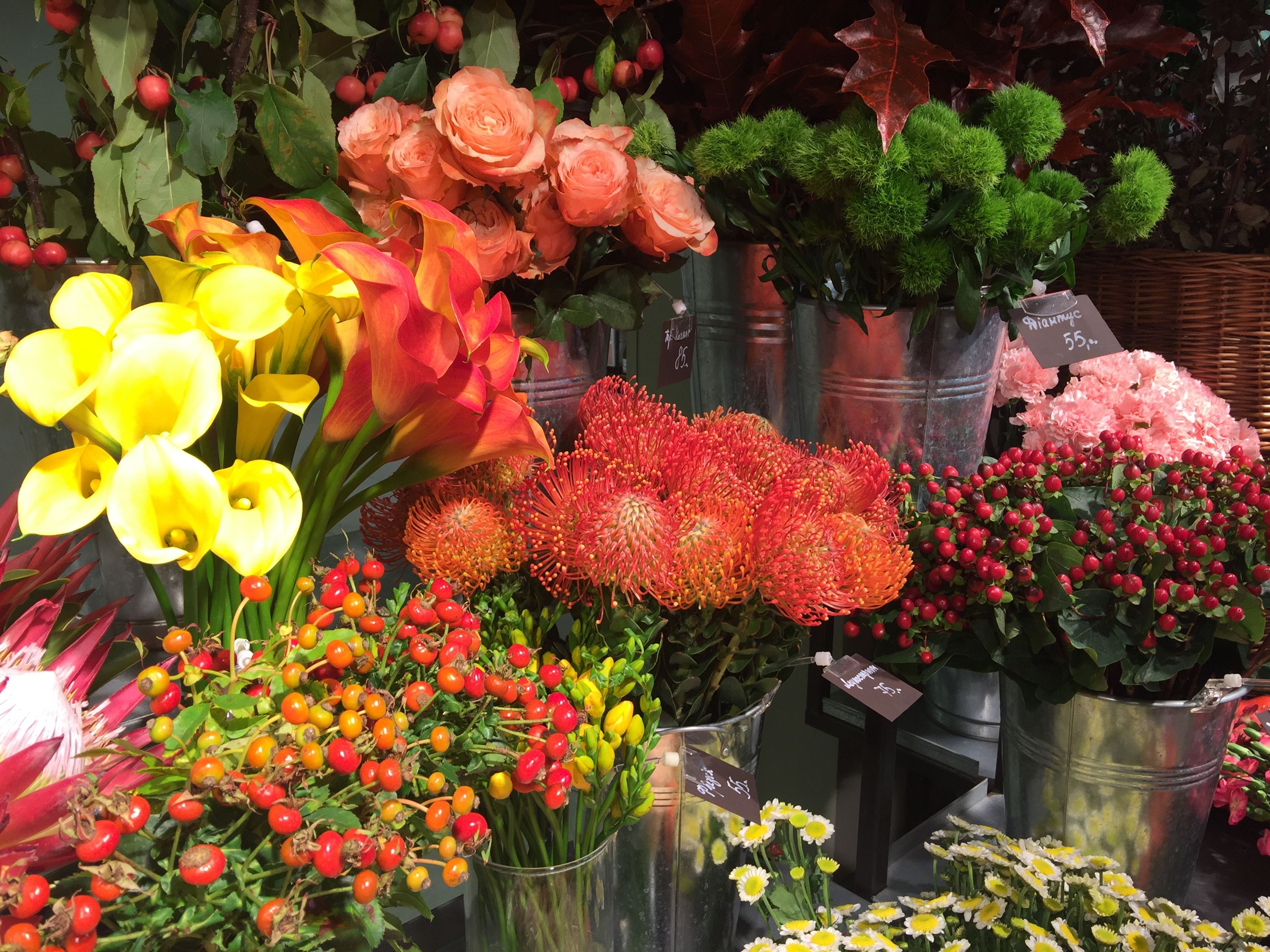 10 Design Principles for Flower Arranging