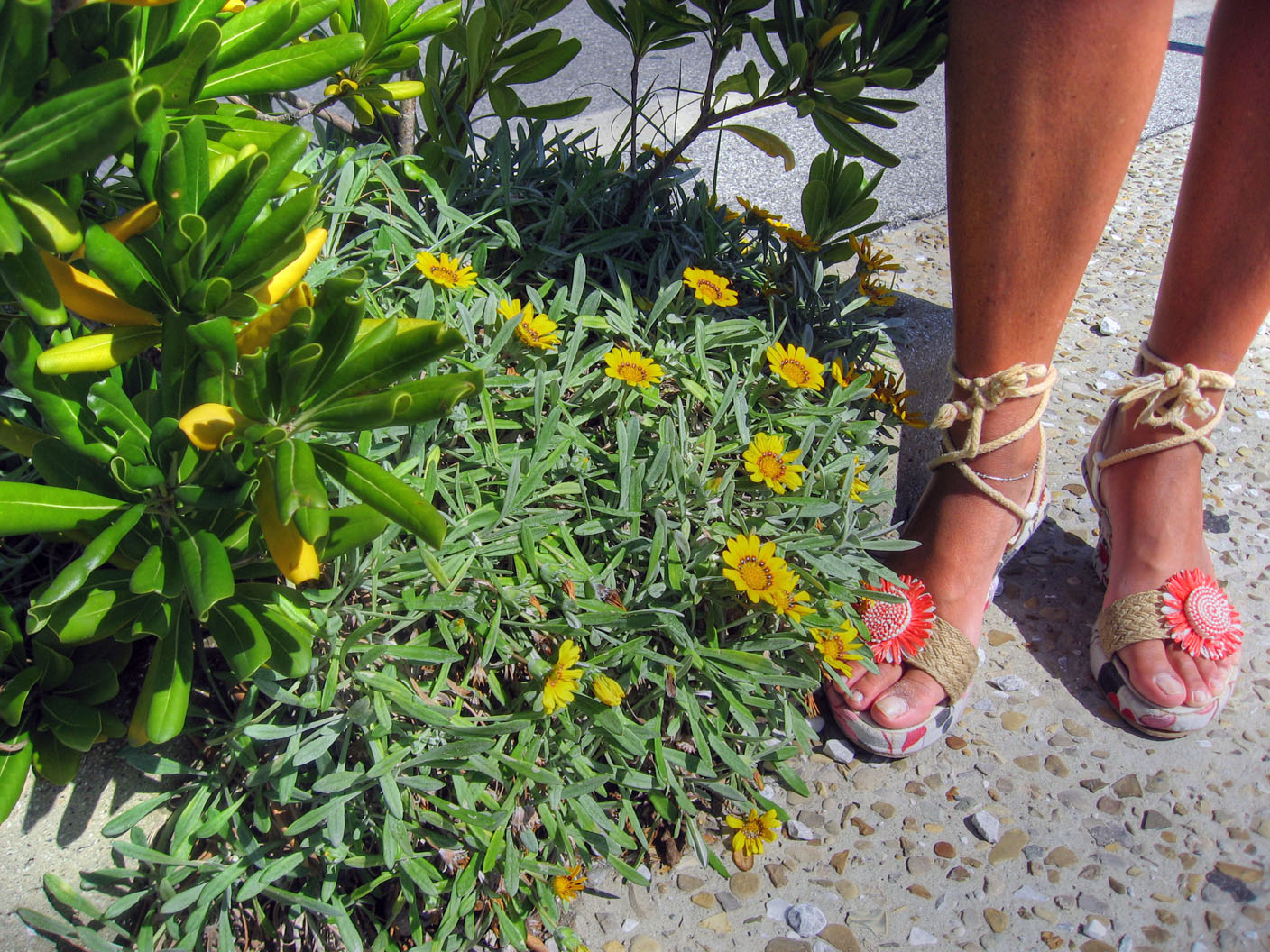 Flowers and feet, italy photo