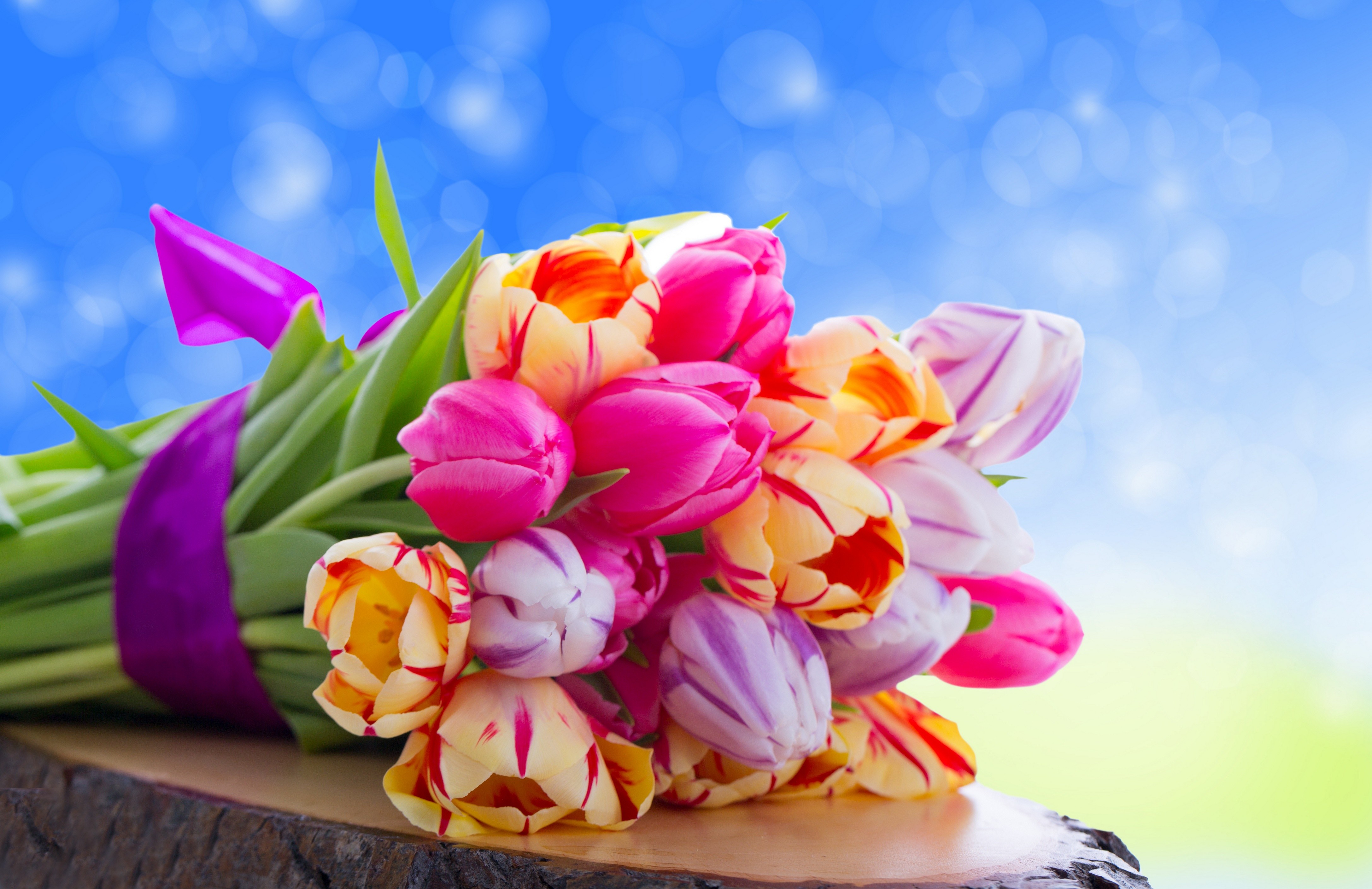 Flowers: Colorful Bokeh Beauty Lovely Bouquet Beautiful Tulips ...