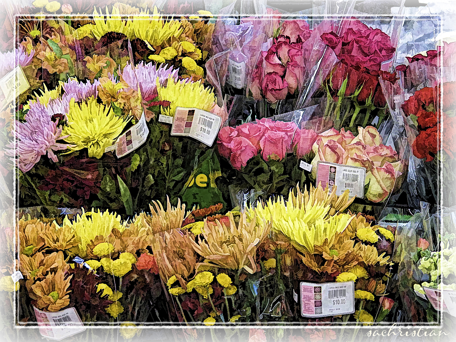 Flowers for Sale | Sannechristian's Blog