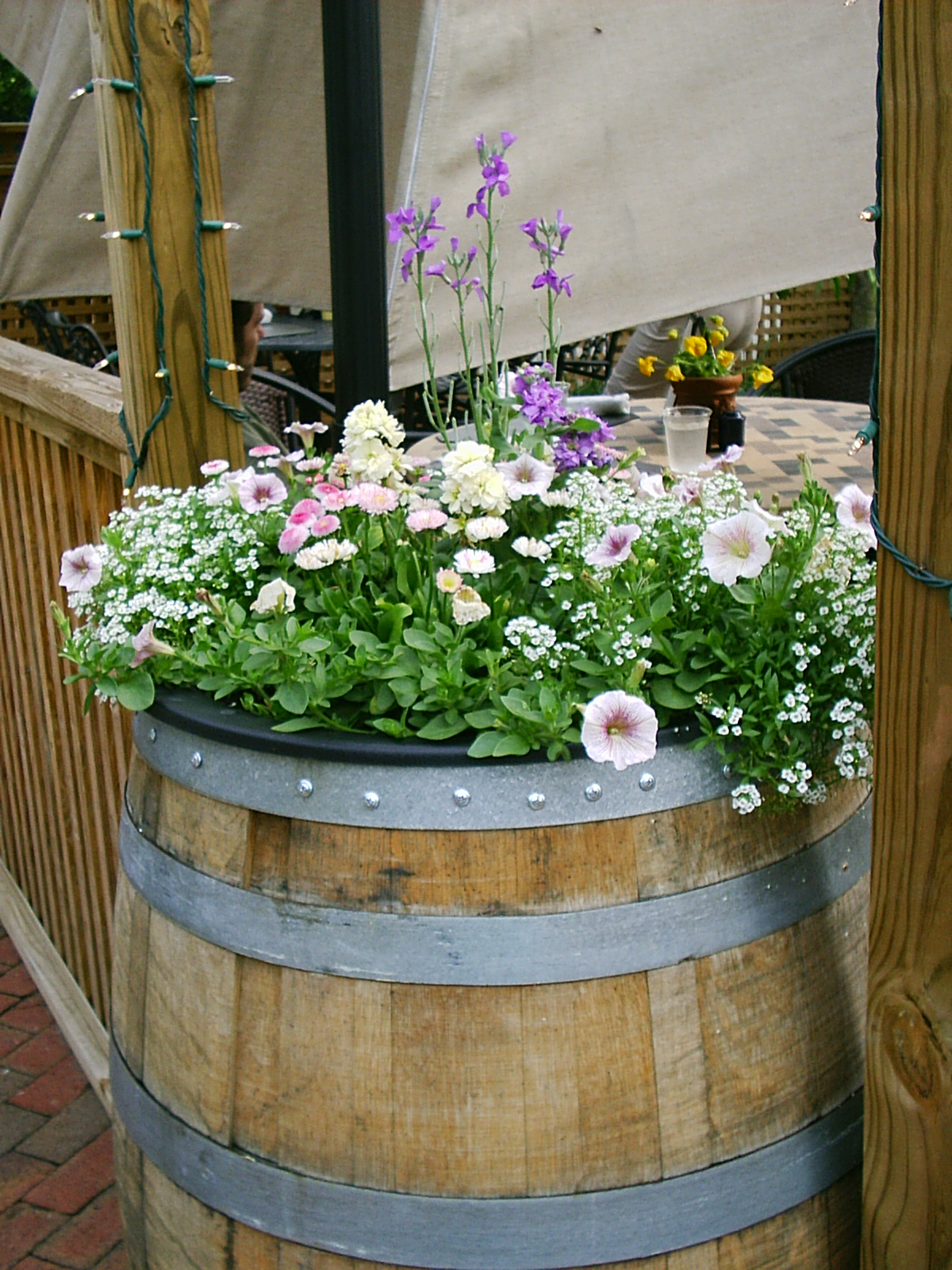 Flowers in a barrel, Barrel, Bloom, Blossom, Floral, HQ Photo