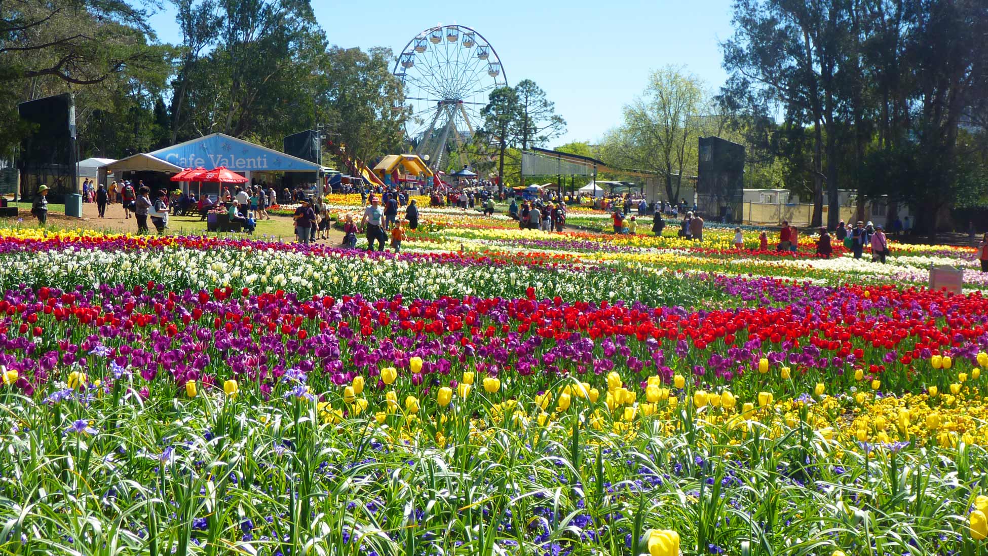 Canberra's Floriade: Festival of Colour – Endeavour Tours