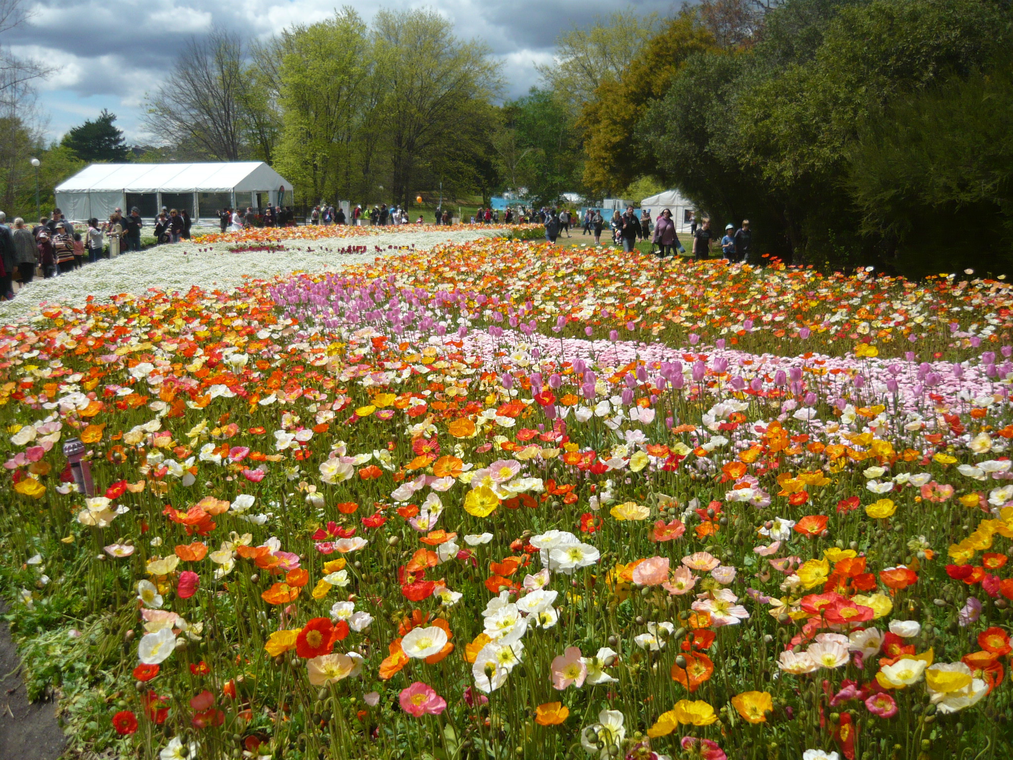 Floriade 2013 - Beautiful Innovation - Canberra - by Nini