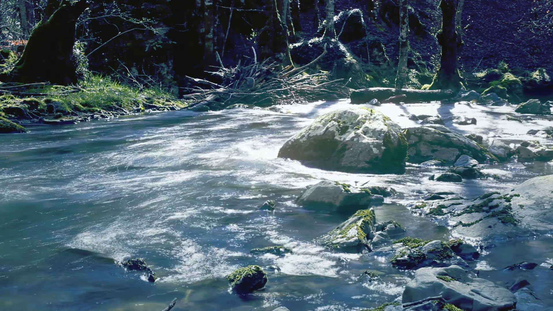 Water flowing river timelapse. Timelapse: flowing water from a river ...