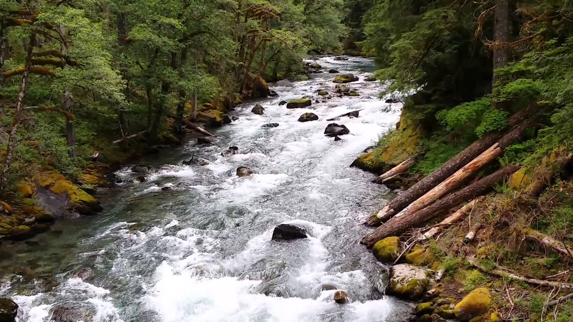 Beautiful Flowing River at Mt Rainier National Park Washington State ...