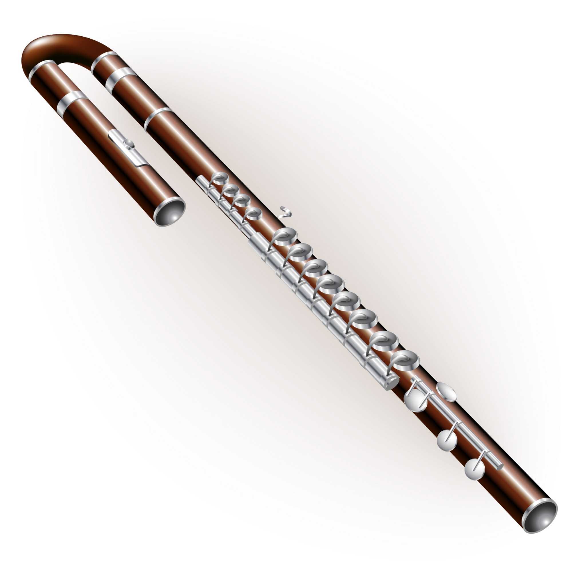 Types of Flutes: The Modern Flute Family