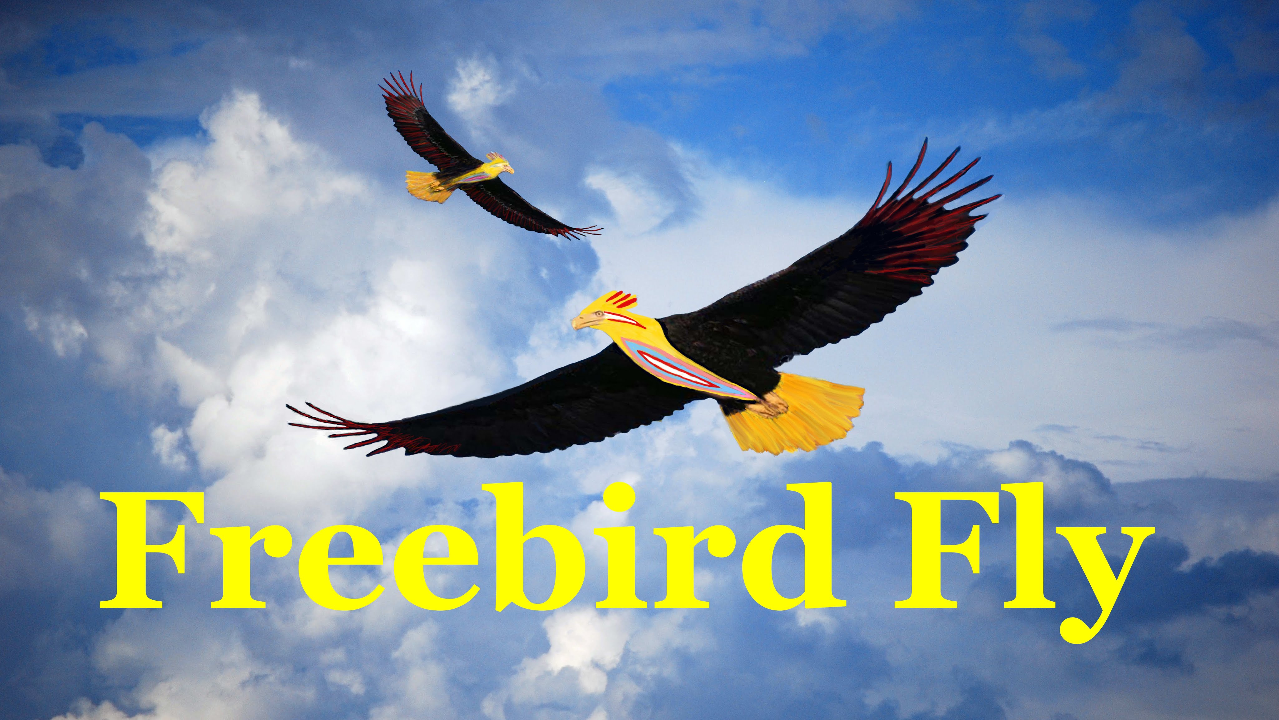 Andy B. Free - Freebird Fly - Soft Rock - Album - Code Name ...