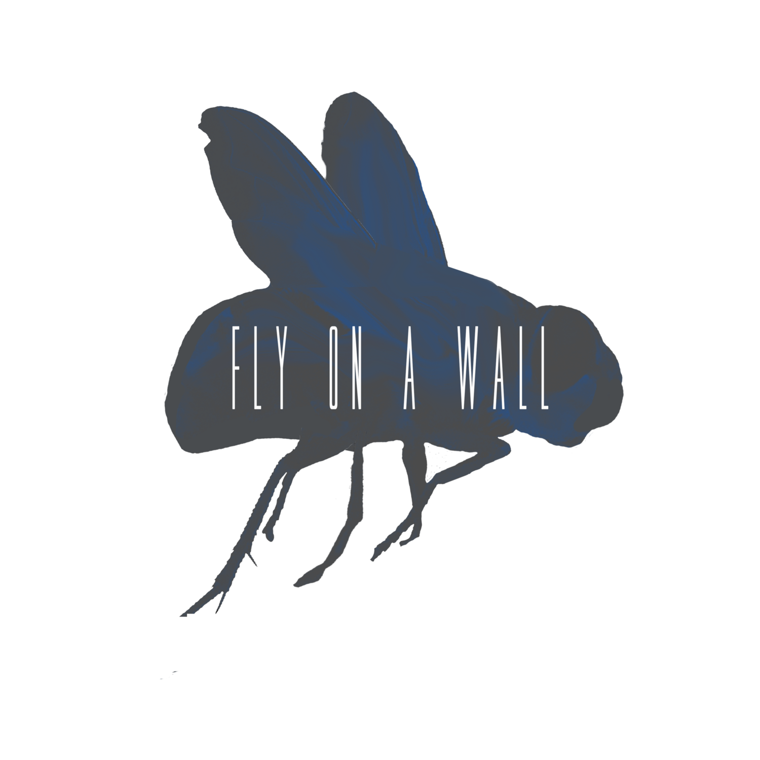 Fly on a Wall