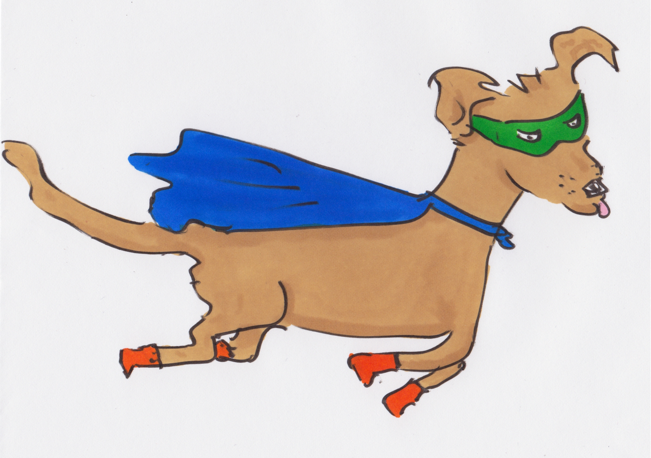 flying dog | Excitable dog