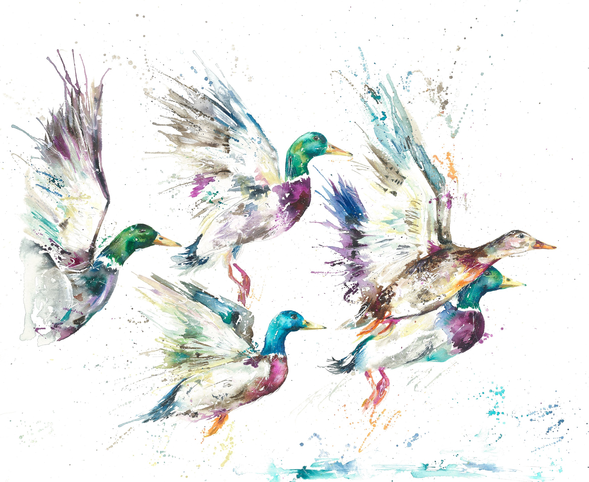 A3. Flying Ducks Art Print | Nicola Jane Rowles