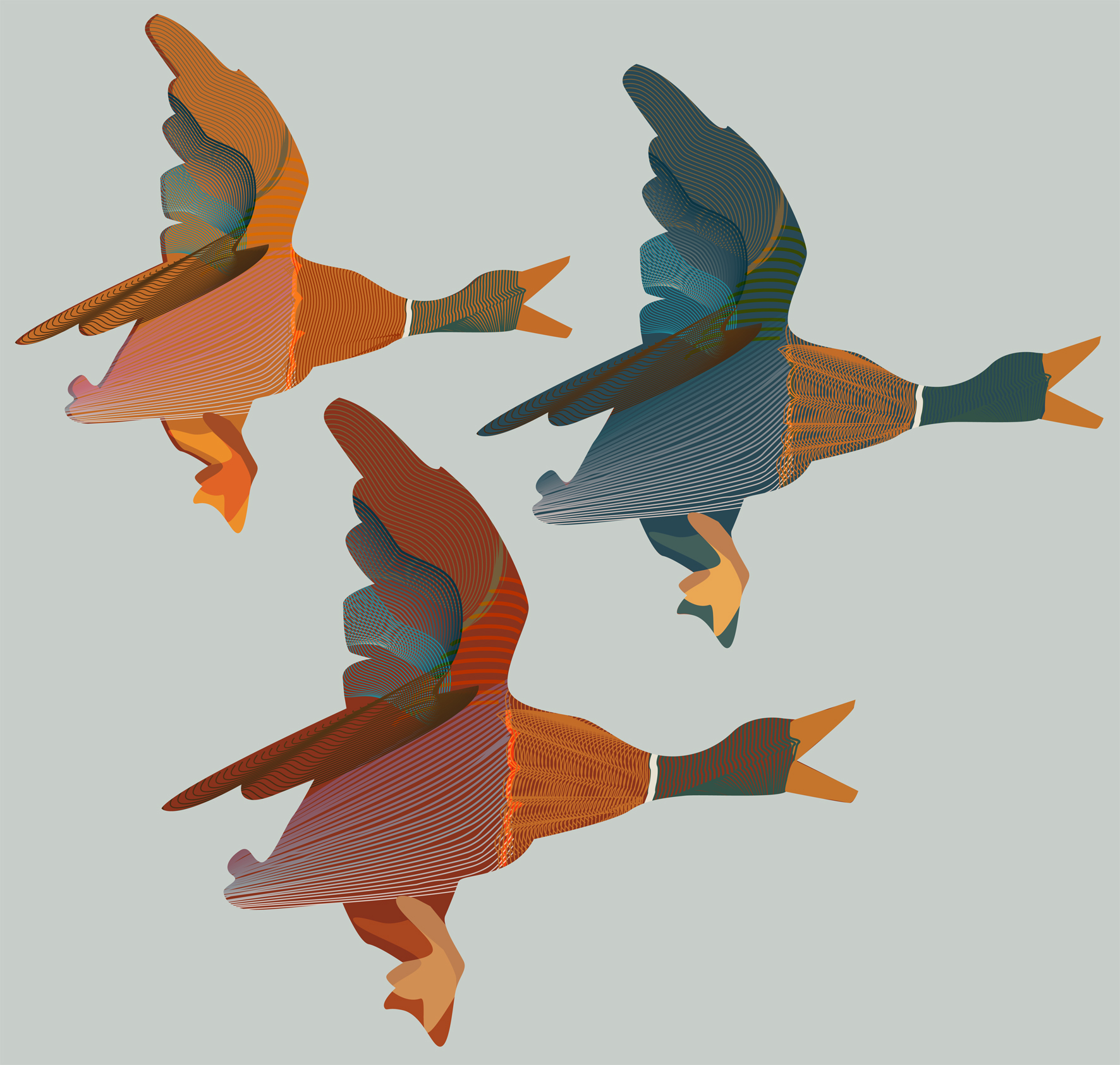 Flying Ducks | Cath Whiteoak
