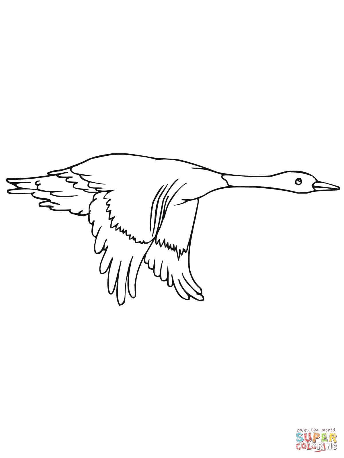 Flying Duck coloring page | Free Printable Coloring Pages