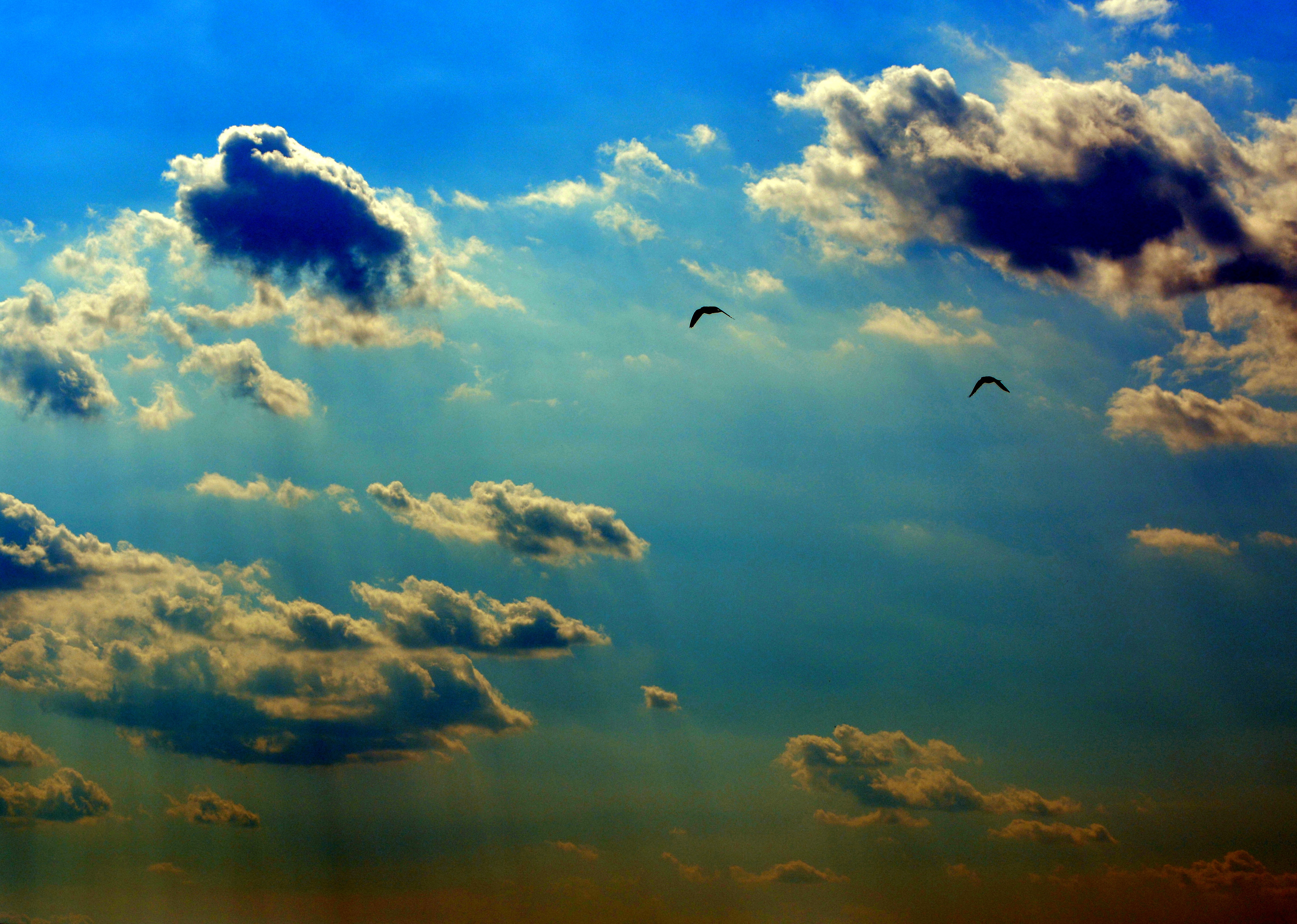 Облака словно жизни страницы. Птицы в небе. Красивые облака. Красивое небо. Мирное небо.